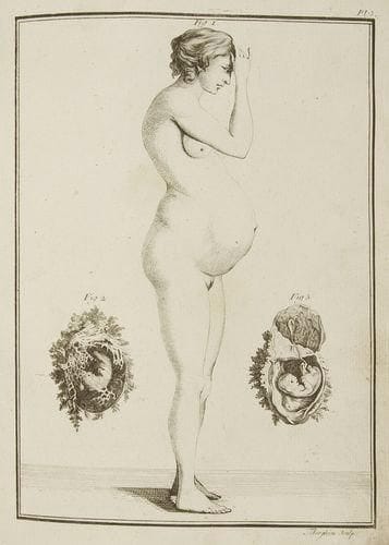 JACOBS (Jean Bernard)
École pratique des accouchemens. Gand: J. f. Vender Schueren, 1785. - In-4, (8 ff.), 426 pp. ch. 428, (1 f.), 21 pl. Demi-basane marbrée à coins, dos lisse orné (reliure du début du XIXe siècle). Édition originale française de ce traité composé par Jean Bernard Jacobs, professeur et assesseur du collège de médecine de Gand, ornée de 21 planches gravées sur cuivre, dont 2 dépliantes. Jacobs destinait ce livre exclusivement aux élèves et aux sages-femmes. Ne prétendant pas faire un nouveau traité sur les accouchements, il s'est contenté de combiner les meilleurs observations des plus grands praticiens, qu'il a ajoutées aux siennes, et a suivi les principes et l'ordre adoptés par le médecin genevois Jean Jacques Plenck (1738-1807). Les planches, gravées par Tiberghien et Wauters, sont également empruntées à d'autres ouvrages tels que ceux de Pierre Camper ou d'Édouard Sandifort. Vignette gravée sur cuivre en tête de l'épître. Reliure frottée, petites fentes aux mors, coins émoussés. Feuillets brunis.