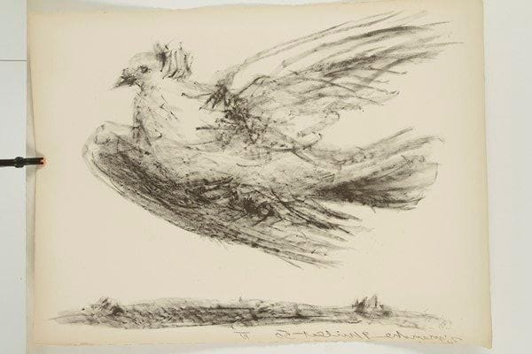 Pablo Picasso (1881-1973)
La Colombe en vol. 1950. Zincographie. [760 x 560]. Bloch 678; Mourlot 193. Très belle épreuve sur vélin filigrané «Arches», ni signée ni numérotée. Toutes marges non ébarbées. Tirage définitif à 50 épreuves.{CR}Provenance: imprimerie Mourlot. C?est ce 4e état du zinc (voir Mourlot 191à 193) qui fut choisi pour être transposé en affiche au moyen d?un report sur pierre de ce zinc