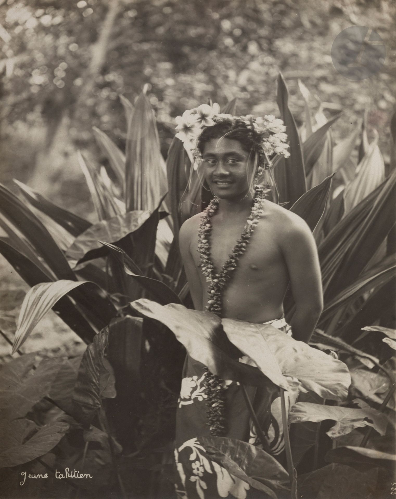 Lucien Gauthier (1875-1971) 
Tahiti, c. 1920-1930. 
Papeete. Port. Jeune Tahitien. Moorea. La montagne trouée. Urufara. Pic des Français. Cascade de Fautaua. La Vaitepiha. Gorge de Fautaua. Vallée de Sainte Amélie. Grottes De Mara’a. Puna’auia. 
Album in-8 oblong, composé de 19 épreuves argentiques d’époque, contrecollées sur cartons. Timbre sec du photographe et légendes sur les épreuves. Quelques cartes postales en fin d’album. 
Format moyen : 16x22 cm