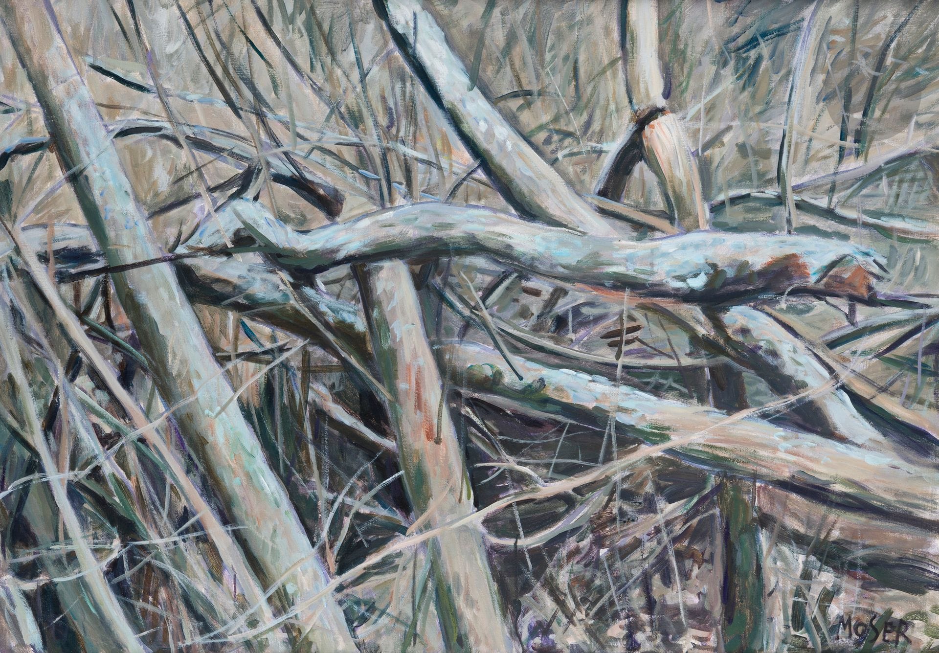 Wilfrid MOSER [suisse] (1914-1997)
Sous-bois, 1980
Huile et acrylique sur toile.
Signée en bas à droite.
Signée et titrée au dos.
81 x 116 cm

Provenance : 
Galerie Jeanne Bucher, Paris (étiquette sur le châssis).

Œuvres en rapport : 
- Stämme VII, gouache, 27 x 40 cm, reproduit in Wilfrid Moser. Wegzeichen Werke 1934-1997, n° 165, p. 218.
- Troncs, 1980, huile et acrylique sur toile, 135 x 195 cm, reproduit in Wilfrid Moser, Kunsthaus, Zurich, 
3 septembre - 31 octobre 1993, n° 154, p. 187.