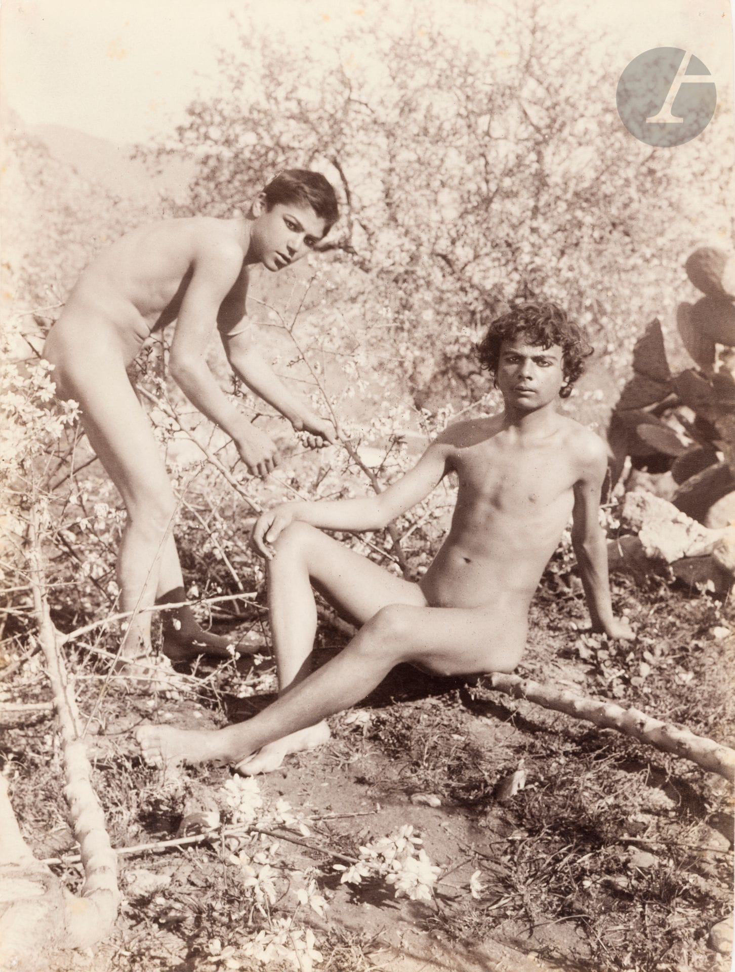 Wilhelm von Gloeden (1856-1931)
Young Sicilians, c. 1890-1910. 
Three (3) albumen prints. Photographer's stamps (2) and reference numbers in pencil on versos.
Medium format: 22.5 x 16.5 cm

Provenance : 
François Lepage Collection, Paris.