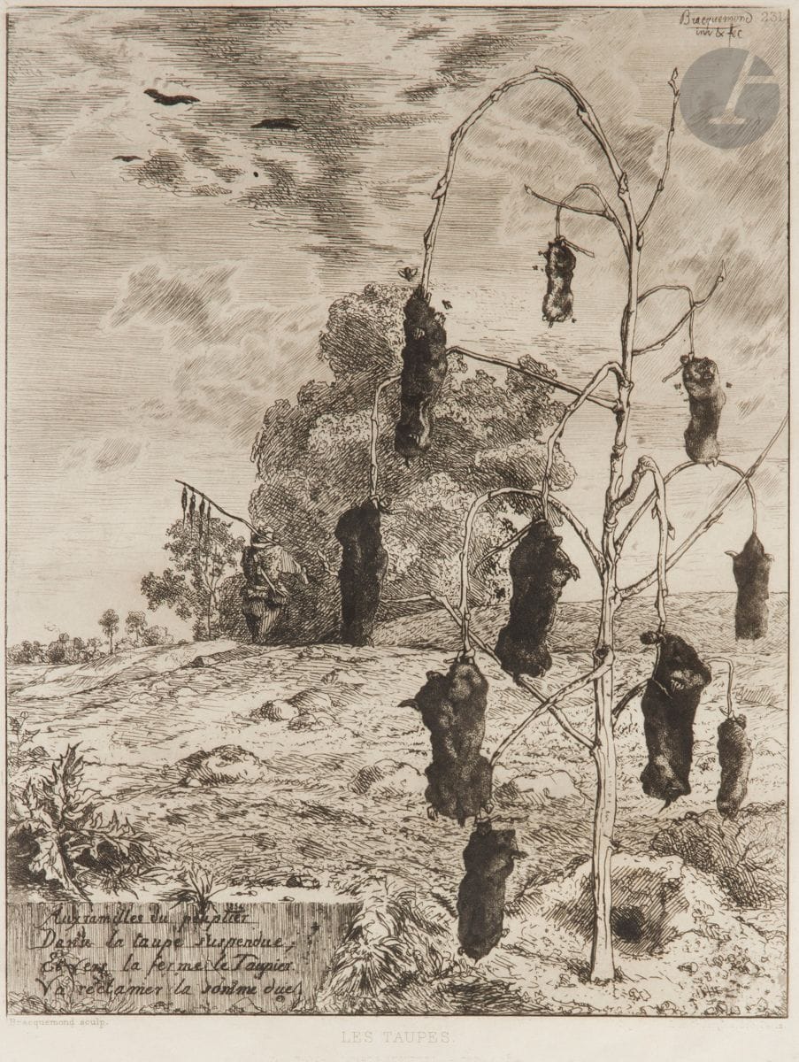 Félix Bracquemond (1833-1914) 
The Moles. 1854. Etching. 200 x 270. Beraldi 134. Very fine proof on ivory laid paper, from the Cadart print (1866). Full margins. Frame (not examined outside the frame).