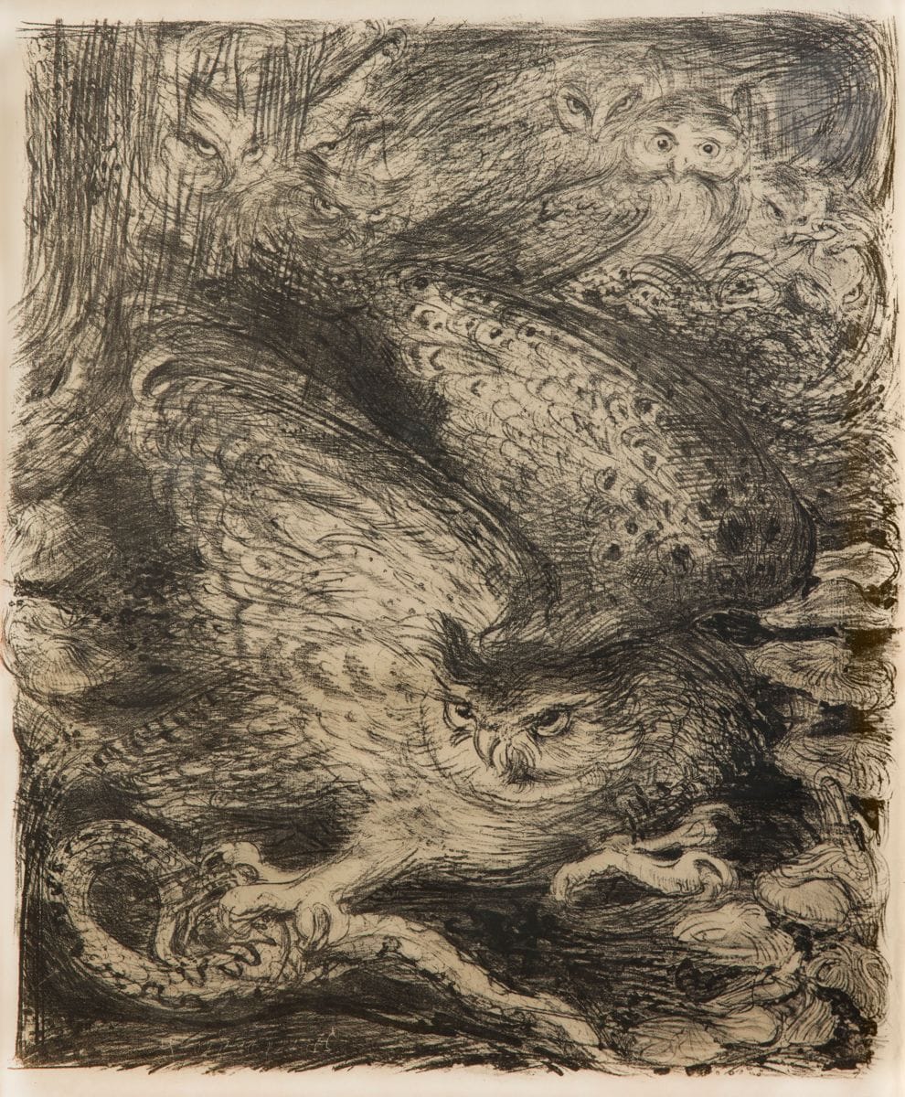 Henry de Groux 
(Belgian, 1866-1930) 
Owls and snake. Circa 1895. Lithograph. 422 x 495. Very fine and fresh proof on thin japon. Full margins. Ex-coll. H. M. Petiet (Lugt 5031). Frame (not examined outside the frame).