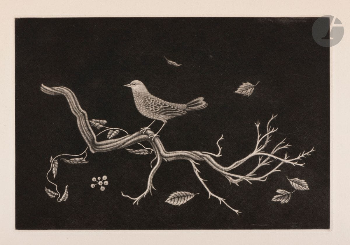 Kiyoshi Hasegawa (Japanese, 1891-1980) 
Bird on root (for Godefroy Engelmann, Mulhouse). 1960. Manière noire. 290 x 198. Reifushobo 318. Very fine proof on cream vellum, neither signed nor numbered, pasted in full on thin cardboard. Full margins.