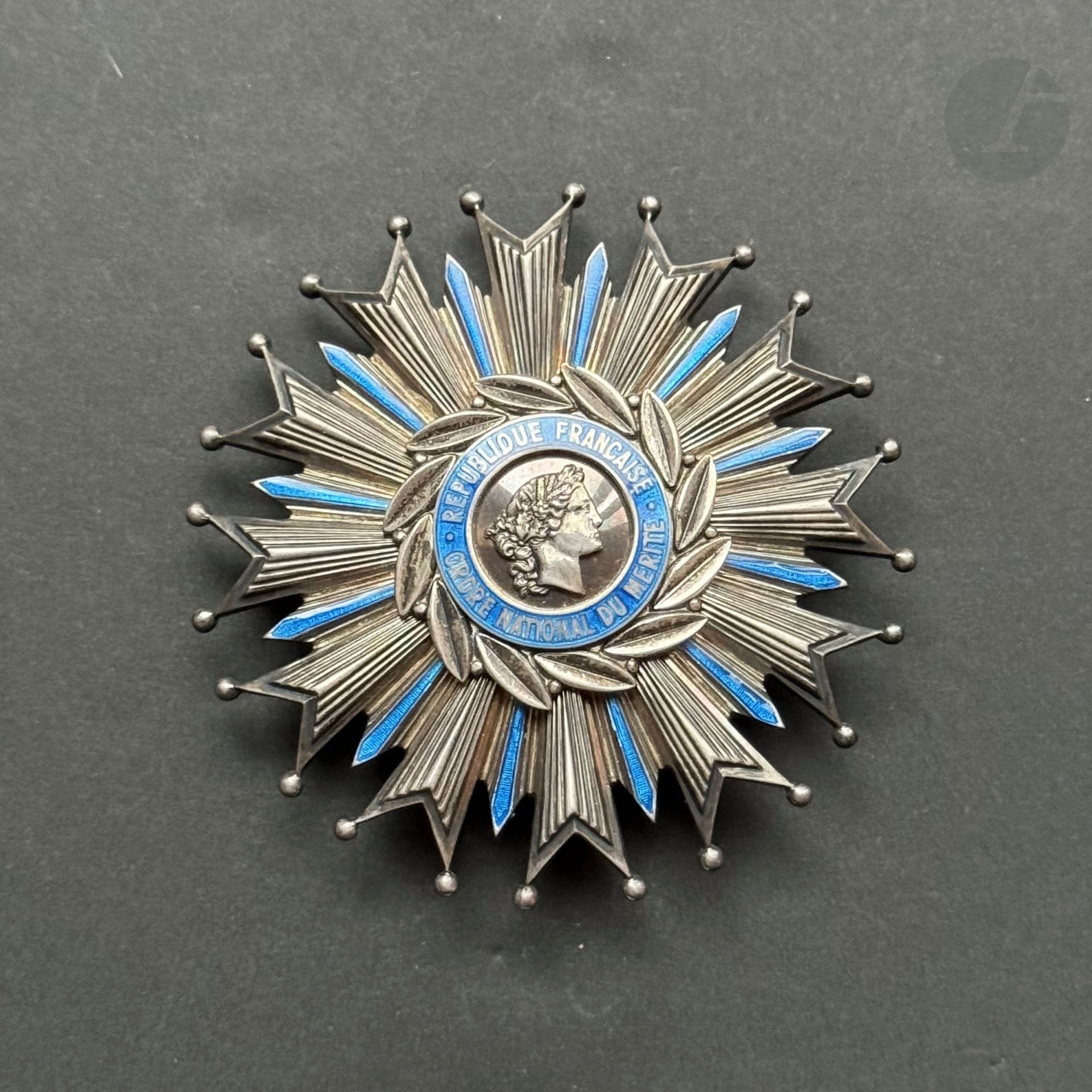 FRANCE 
ORDRE NATIONAL DU MÉRITE 
Plaque de grand officier du 2e type. 
En argent et émail. Centre en trois parties. Revers à attache basculante et deux crochets. Poinçon de la Maison Marie Stuart. 
88 mm - Poids brut : 117 g
T.T.B. à SUP.
