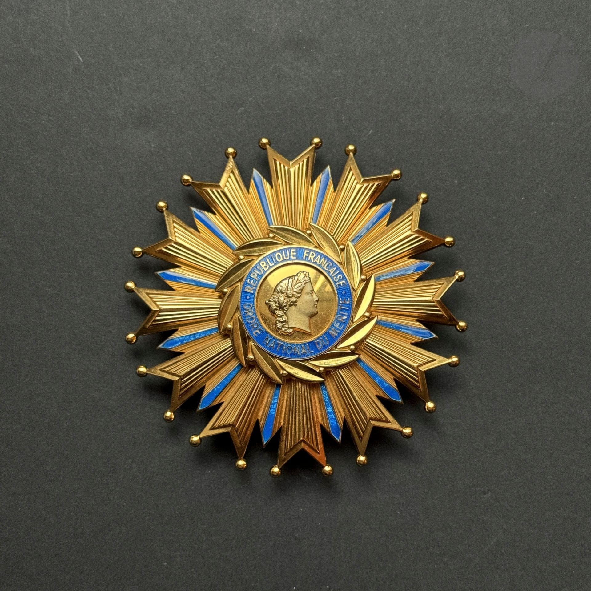 FRANCE 
ORDRE NATIONAL DU MÉRITE 
2nd type grand-croix plaque. 
In vermeil and enamel (minor enamel defects on the rays). Three-part center. Reverse with rocking clasp and two hooks. Paris mint hallmark. 
89 mm - Gross weight: 159 g
T.T.B.