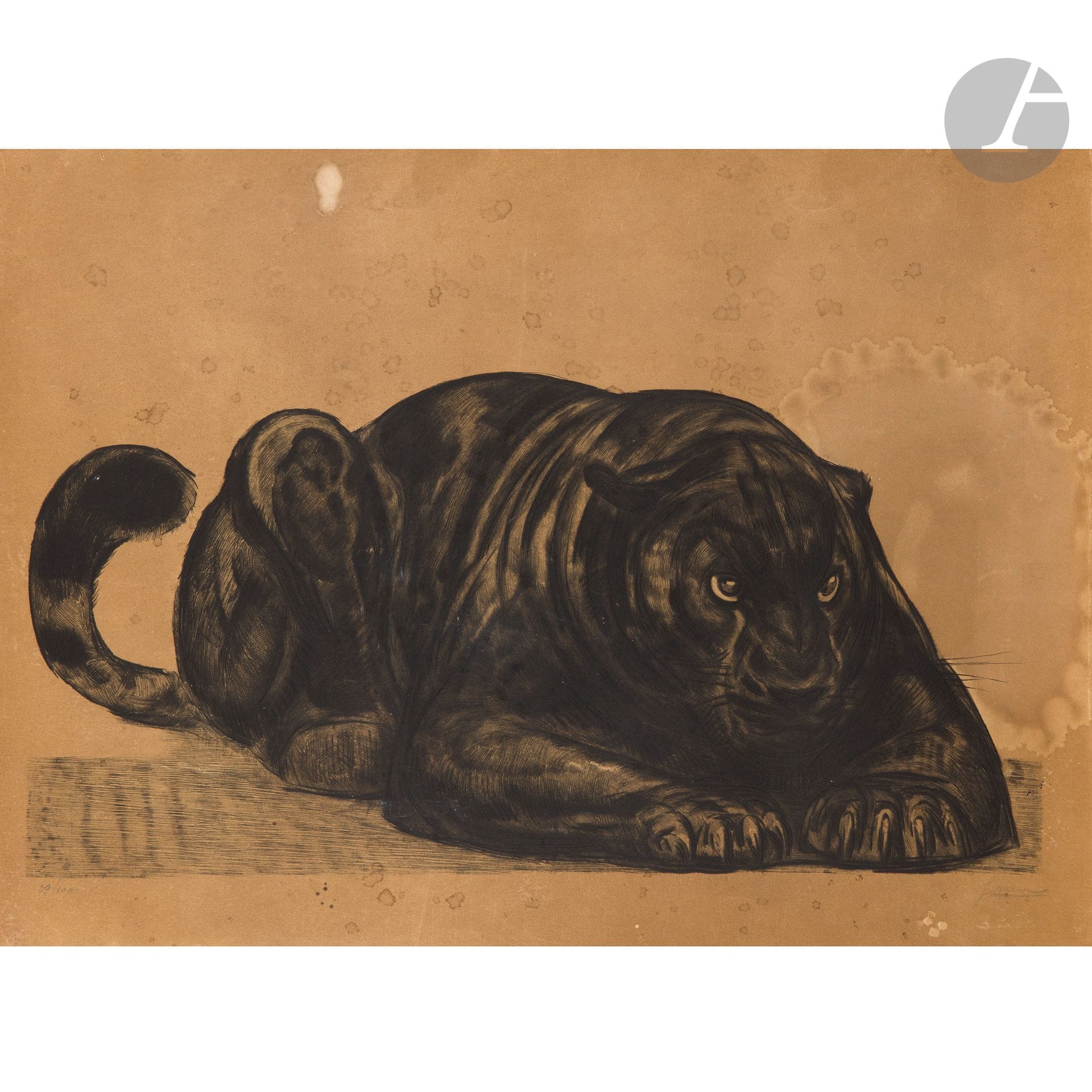 PAUL JOUVE (1878-1973) (D’APRÈS) & ALAIN MAILLARD (XIXe-XXe SIÈCLE) GRAVEUR
Panthère noire couchée de face, planche issue de l’Album Paul Jouve édité par Apollo pour Georges Weill, 1930, épreuve numérotée 29/100
Eau-forte. Fort jaunissement, importantes taches d’humidité, salissures, plis. Signée JOUVE, au crayon en bas à droite et numérotée 29/100 au crayon en bas à gauche. Feuille: 40x54cm

Bibliographie:
Félix Marcilhac – Paul Jouve, peintre sculpteur animalier – Les Éditions de l’Amateur, Paris, 2005. Une épreuve notre modèle reproduite page 367.
