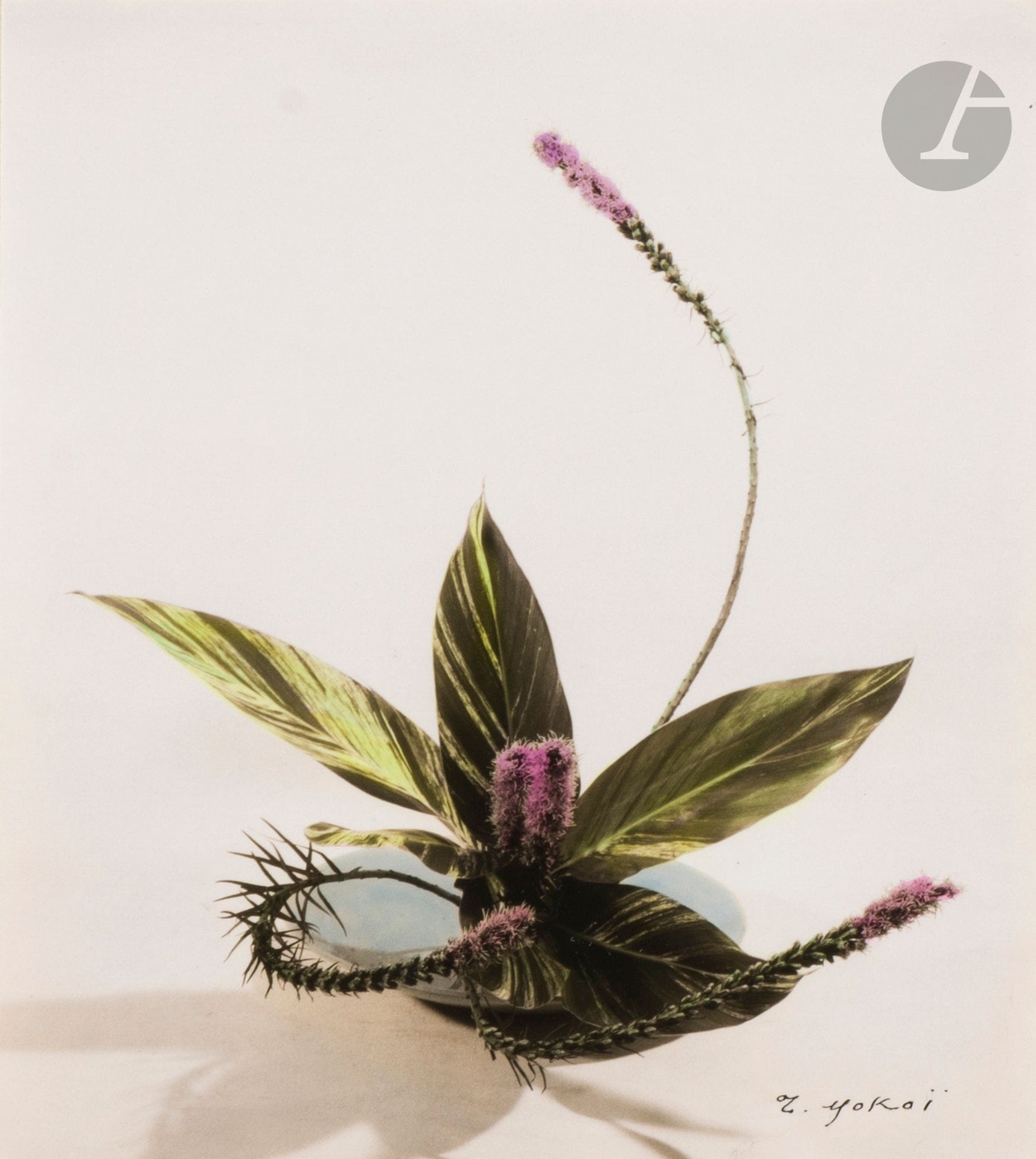 Toshie Yokoi (1912-2004)
Ikebana (art floral japonais), c. 1960. 
Chemise in-4 (27,5 x 38 cm) contenant 20 épreuves argentiques d’époque, montées par le haut sur cartons, signées par la photographe (19) et rehaussées pour la plupart de couleurs. Nombreux tampons du studio sur les montages. Dédicace sur un feuillet volant et carte de visite de la photographe contrecollée à l’intérieur de la chemise.
Formats : de 10 x 13 à 11 x 17 cm

On joint un prospectus du studio, une carte de voeux photographique et une épreuve argentique d’époque, toutes deux signées.