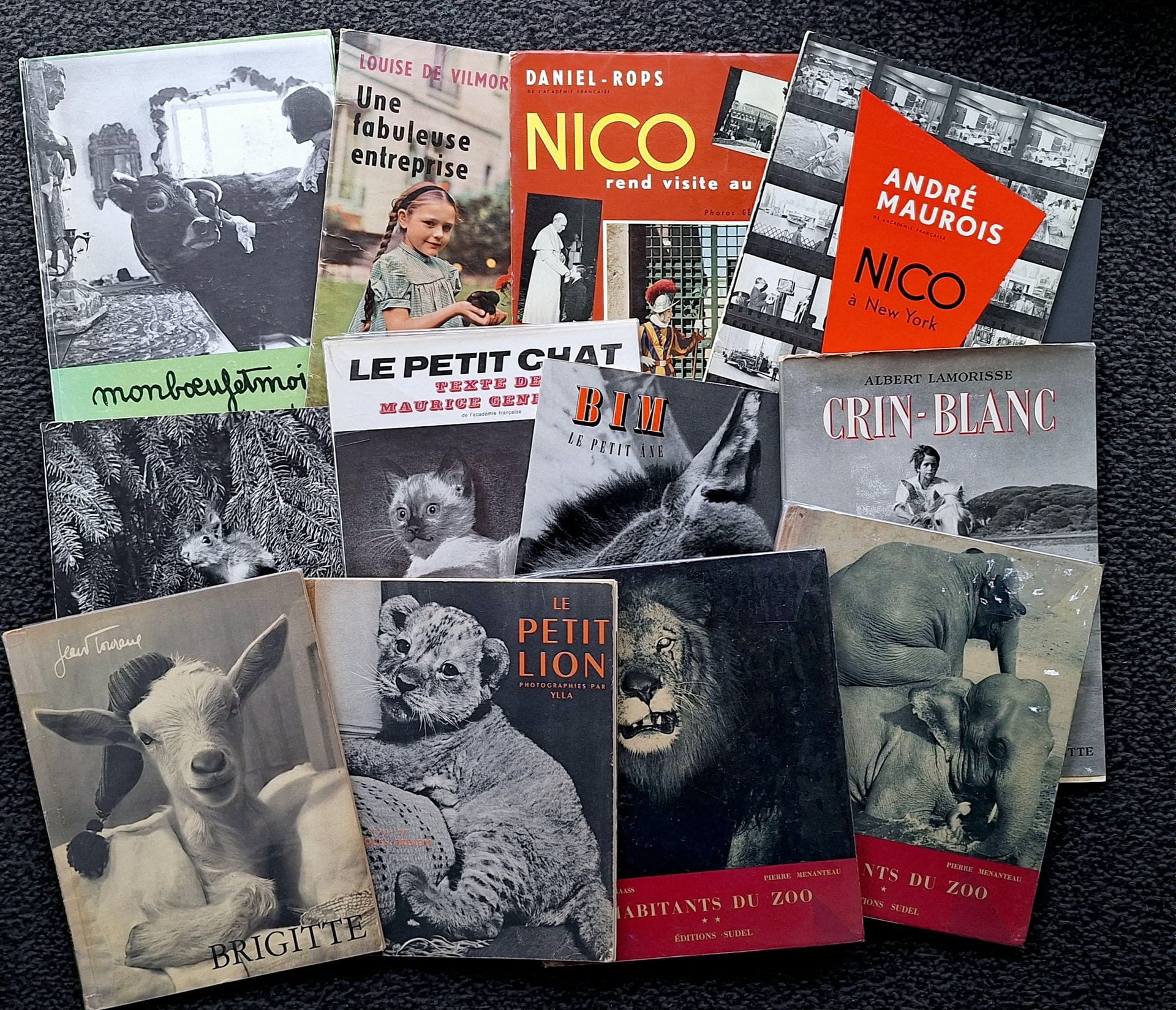 LIVRES POUR ENFANTS
12 ouvrages de photographie à destination des enfants.
*Brigitte.
Par Jean Tourane
Ides et Calendes, 1952.
In-4 (27 x 21 cm). Édition originale. 26 pp. Photographies imprimées en héliogravure. Cartonnage illustré.
*Habitants du Zoo. Volumes 1 & 2.
Photographies de Marcel Fraass et textes de Pierre Menanteau.
Editions Sudel, 1954. 
In-4 (27 x 23 cm). Éditions originales. 16 photographies par album. Cartonages illustrés
*Pizzi + Puzzi, die jungen Eichhörnchen.
Par Hans Silvester et Herbert Walther.
Texte en allemand de Louis Erlacher.
Büchergilde Gutenberg, 1959.
In-4 (27 x 22 cm). Édition originale. Superbe impression des photographies en héliogravure. Cartonnage muet d'éditeur sous jaquette illustrée.
*Le petit chat.
Photographies d'Ergy Landau. Texte de Maurice Genevoix.
Arts et Métiers Graphiques, 1957.
In-4 (26 x 22 cm). Édition originale. 32 pp. Cartonnage d'éditeur sous jaquette illustrée.
*Bim le petit âne.
Par Jacques Prévert et Albert Lamorisse.
La Guilde du Livre, Lausanne, s.d.
In-4 (28 x 22 cm). Édition originale. Superbe impression des photographies en héliogravure. Cartonnage muet d'éditeur sous jaquette illustrée.
*Crin-Blanc.
Par A. Lamorisse et D. Colomb de Daunant.
Hachette, 1953.
In-4 (30 x 22 cm). Édition originale. Superbe impression des photographies en héliogravure. Cartonnage muet d'éditeur sous jaquette illustrée.
*Le petit lion.
Par Jacques Prévert et Ylla.
Arts et Métiers Graphiques, 1949.
In-4 (27 x 22 cm).Seconde édition (l'E.O. est de 1947). 32 pp. Cartonnage illustré.
*Mon boeuf et moi.
Par Laure Delvolvé.
Imprimerie moderne du lion, 1976.
In-4 (28 x 21 cm). Édition originale. Cartonnage illustré.
*Une fabuleuse entreprise. 
Calmann-Lévy, 1956.
In-4 (30 x 22 cm). Édition originale. 56 pp. Texte de Louise de Vilmorin. Photographies de Gérald Maurois, reproduites en héliogravure. Couverture souple sous jaquette illustrée rempliée. Une dédicace anonyme en page de garde.
*Nico à New York. 
Calmann-Lévy, 1958. 
In-4 (30 x 22 cm). Édition originale. 48 pp. Texte d'André Maurois. Photographies de Gérald Maurois, reproduites en héliogravure. Couverture souple sous jaquette illustrée rempliée.
*Nico rend visite au Pape.
Calmann-Lévy, 1957.
In-4 (30 x 22 cm). Édition originale. 48 pp. Texte de Daniel Rops. Photographies de Gérald Maurois, reproduites en héliogravure. Couverture souple sous jaquette illustrée rempliée.