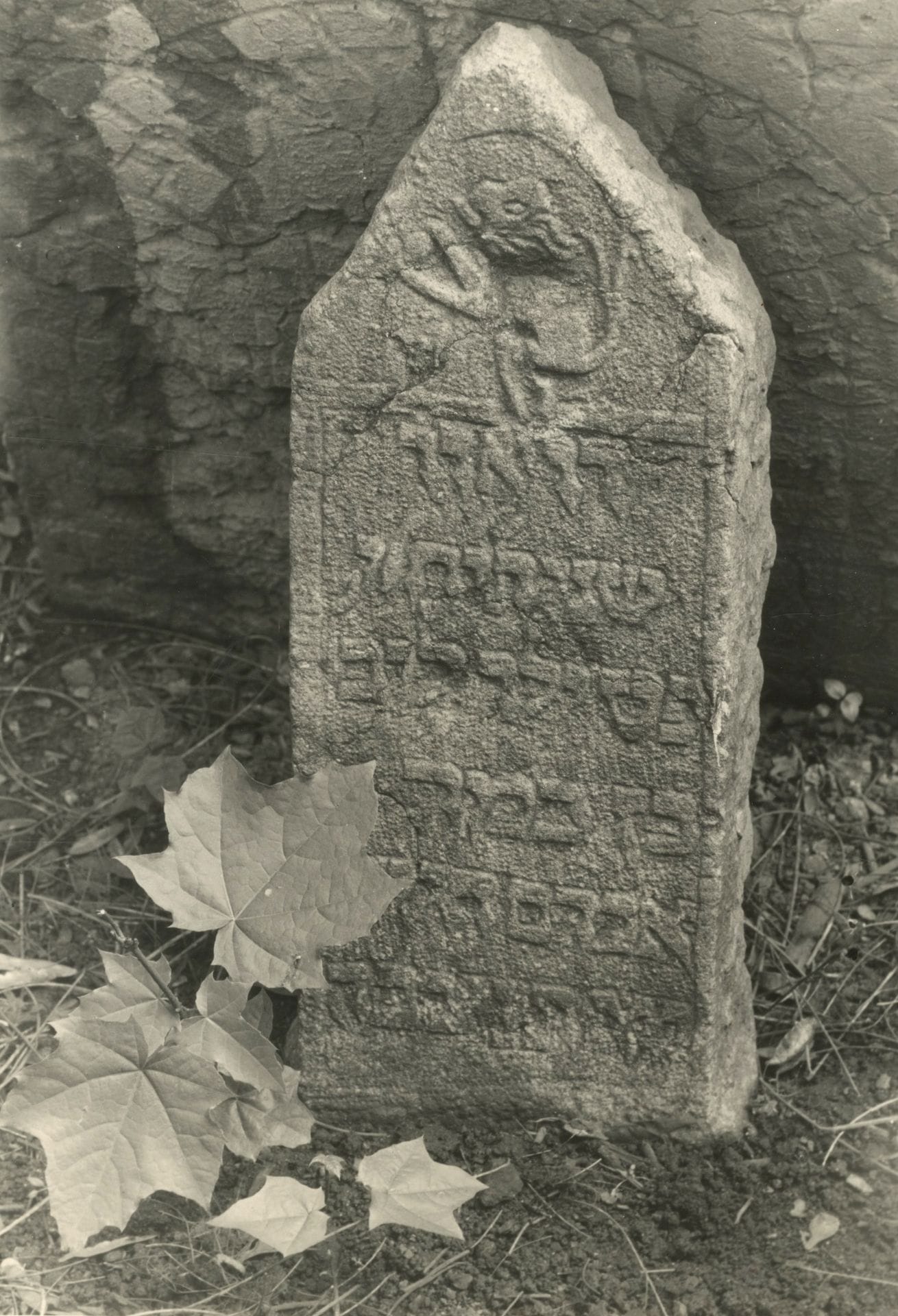 Jindrich Brok (1912-1996) - Joseph Vorisek (1902-1980)

Cimetière juif sous la neige. Prague, c. 1950. 

Deux épreuves argentiques d'époque. Tampons des photographes aux versos. 

Format moyen : 18 x 24 cm avec marges