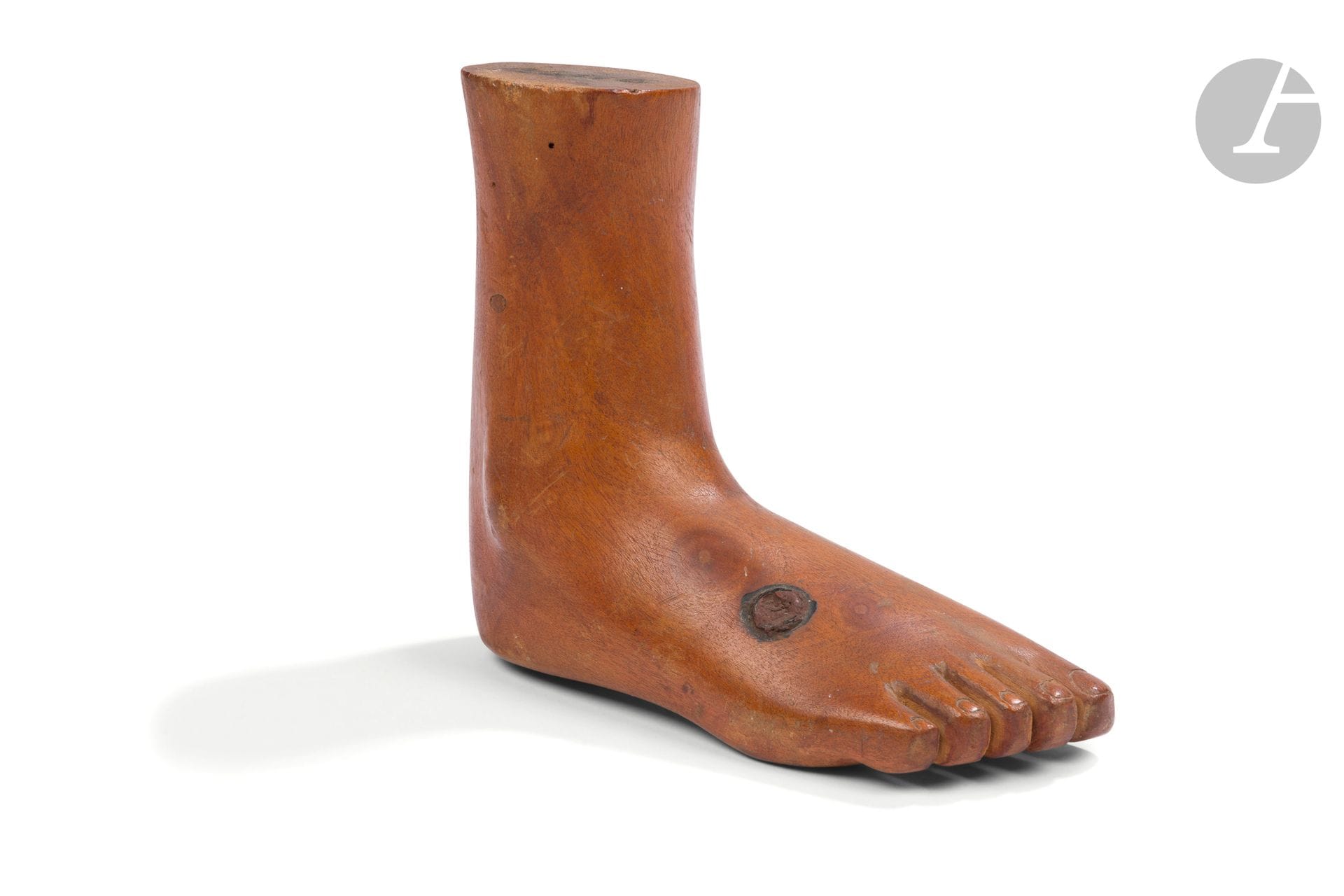 EX-VOTO BRÉSIL
Pied
Bois sculpté.
Hauteur : 12,5 cm

Expositions : 
- Collection Baccaro, Les Imagiers de l’imaginaire, Carcassonne.
- En grand format, exposition inaugurale La Coopérative - Musée Cérès Franco, Montolieu, 1er juillet – 31 octobre 2015.
- La Peau et les mots, La Coopérative - Musée Cérès Franco, 1er mai – 31 octobre 2016.