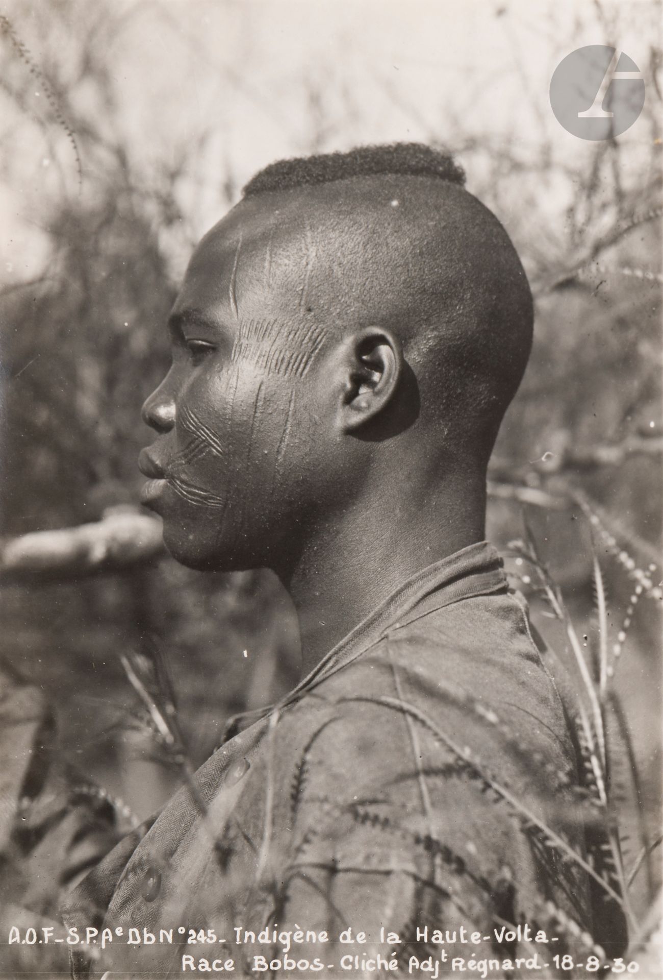 Jean Héricord et divers 
Afrique, c. 1939-1950.
Album personnel de Jean Héricord, Médecin-Commandant de l’AOF. 
Madère. Funchal. Haute Volta. Konakry. Équipe de prospection. Grenier à mil. Femmes du chef. Guéba. Aminata. Coiffure peule. Soukala Gourounssi. Villa Mossi. Campement. Marigot. Accident d’avion. Volta blanche. Caimans. Elephantiasis. Courrier Air France. Chasse au lion. Fête du 11 novembre 1939. Mission Manga. Gao. Tombeau des Ascias. Adrar des Iforas. Cars transsahariens. Bordj Annefis. Femmes touaregs. Oasis. Île de Loos. 
Album in-4 oblong à couverture tissée, composé de 138 épreuves argentiques d’époque, montées par les coins sur cartons. Nombreuses annotations à l’encre sur les montages. Lettre d’avis de nomination dans les Ordres coloniaux en début de volume. 
Formats : de 6 x 9 à 9 x 14 cm

On joint : 
Photographe de l’AOF (Adjudant Reynard) et divers 
Soudan. Guinée. Mali. Bamako. Phare du Cap Vert. Sénégal. Dakar. Île de Gorée. Haute Volta. Lobi. Tisserand. 
75 épreuves argentiques d’époque, certaines annotées aux versos ou dans les négatifs. 
Formats : de 5 x 8 à 17 x 13 cm