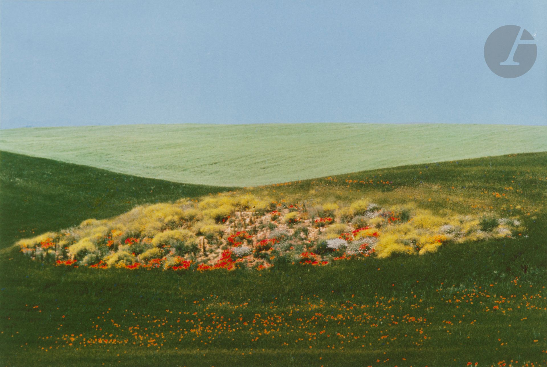 Franco Fontana (1933)
Puglia, de la série Landscape, 1975. 
Dye-transfer (c. 2010), signé, titré, daté et numéroté à l’encre à 15 exemplaires avec le timbre sec du photographe dans la marge en bas. 
Image : 33,5 x 50 cm - Feuille : 48,5 x 57,5 cm - cadre