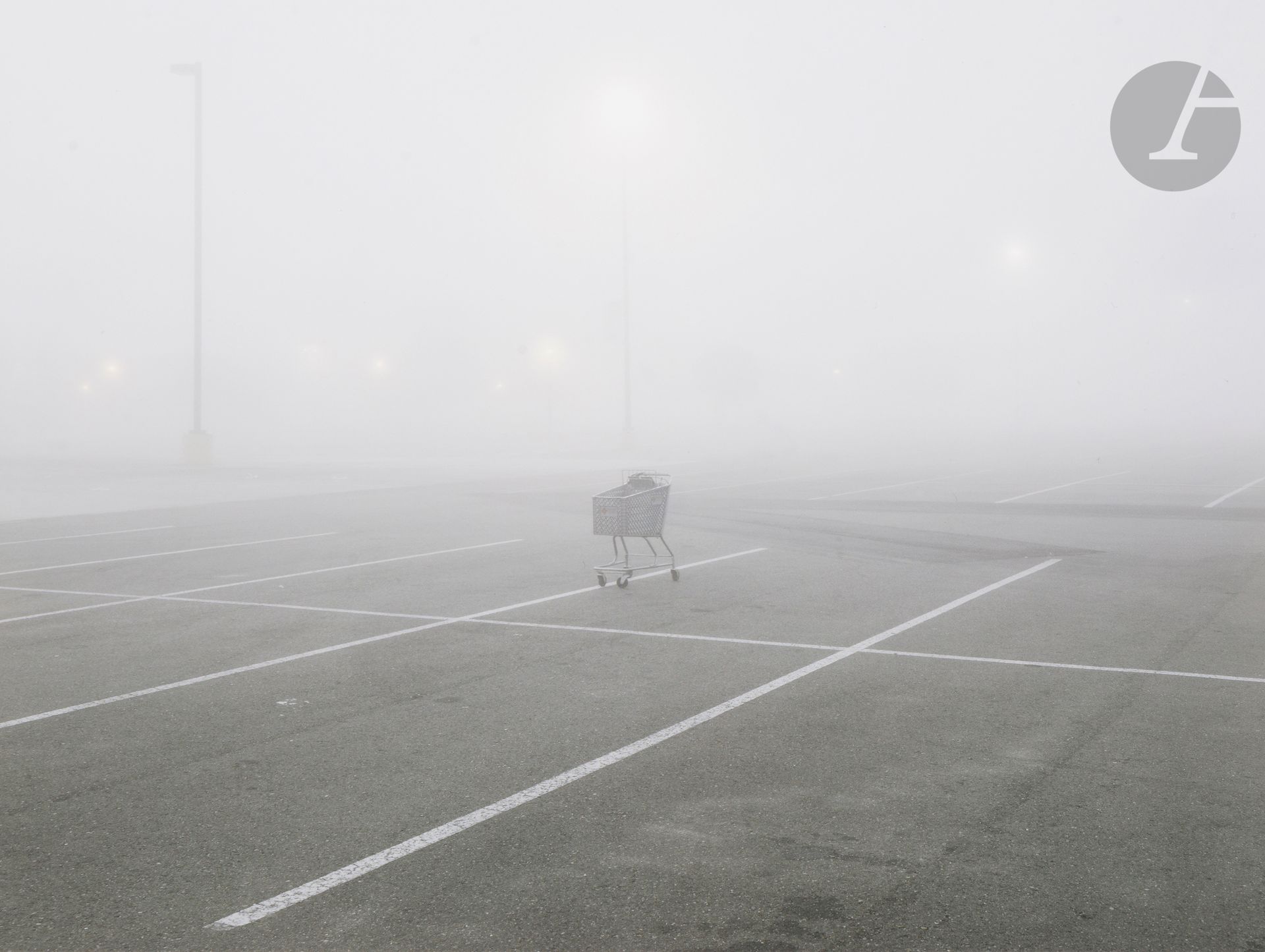 Richard Misrach (1949) 
Shopping Cart, Tanger Factory Outlet Center. Gonzalez (Louisiana), de la série Petrochemical America, 2010.
Épreuve pigmentaire sur papier Epson, signée et numérotée à 100 exemplaires à l’encre dans la marge en bas. 
Image : 23,5 x 31,5 cm - Feuille : 26,5 x 34,2 cm