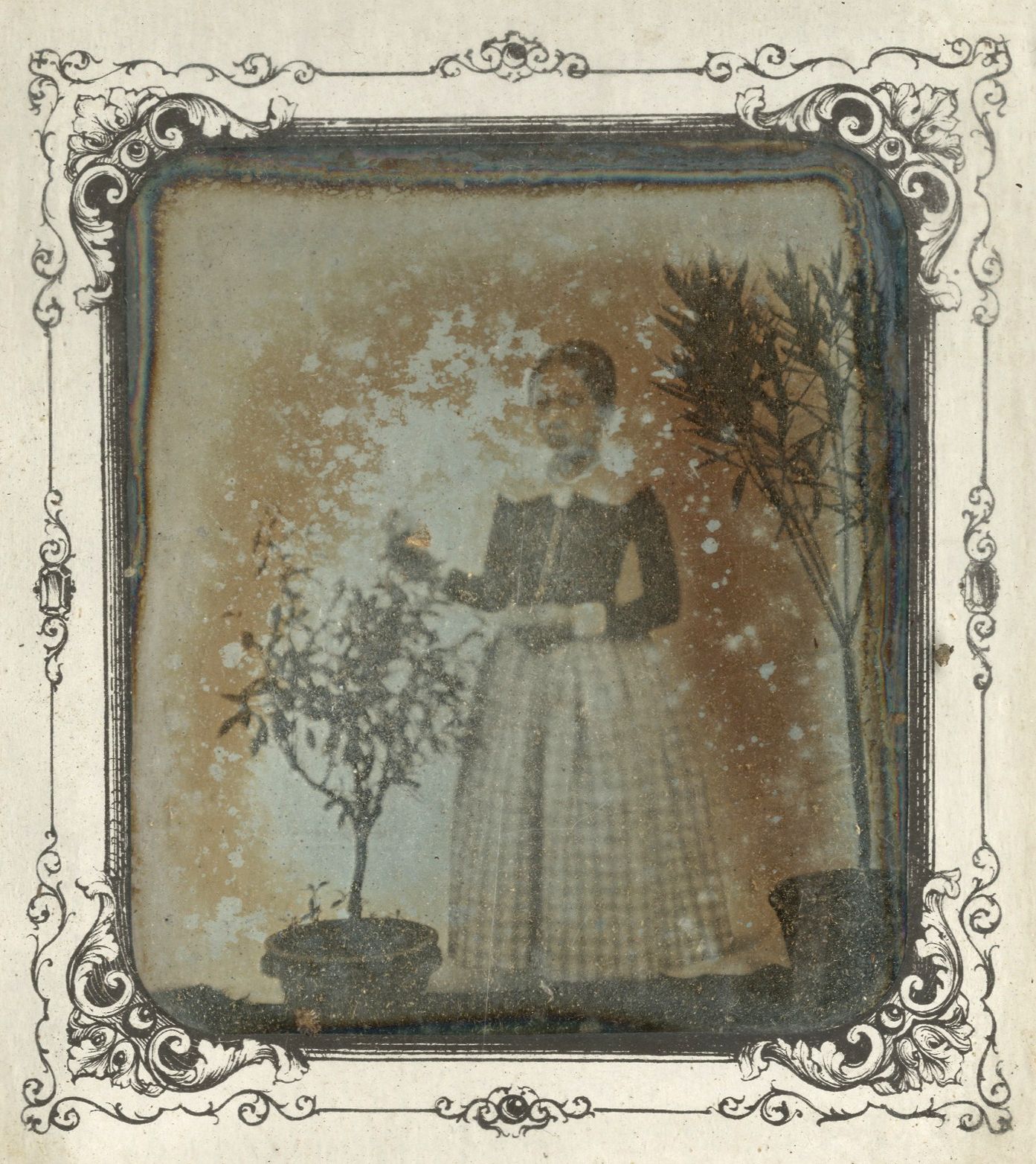 François Barbary (1810-1875) 
Young woman with shrubs. Guéret, c. 1850. 
Daguerreotype, 1/4 plate, in period frame.
7.5 x 6.5 cm (view)