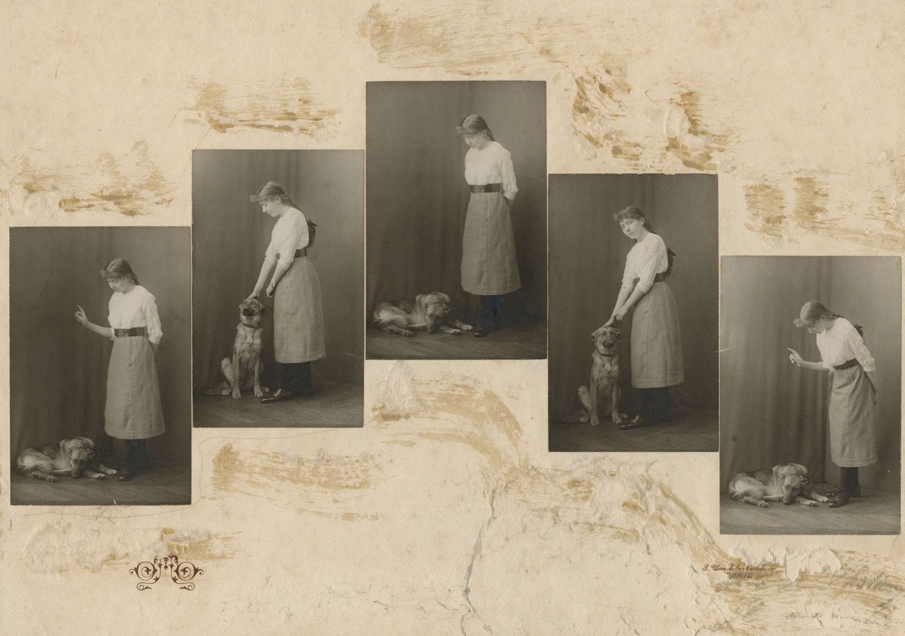 Otto Wegener, known as Otto (1849-1924) 
Dog training, c. 1900. 
Five vintage silver prints, mounted on a single card. Photographer's credit partially visible on mount. 
Medium format: 9 x 6 cm