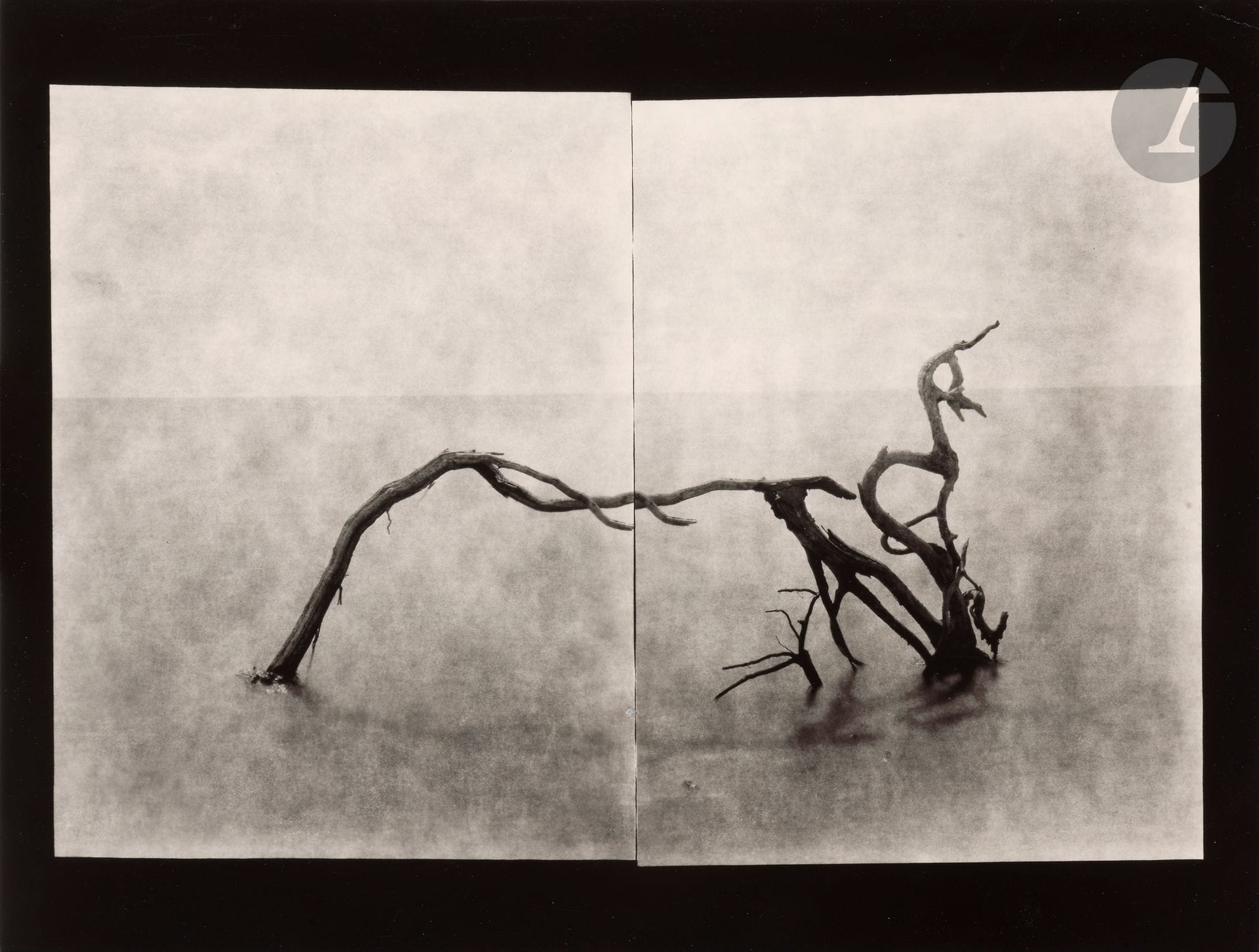 Laurent Millet (1968)
Bestiaires I &amp; II, 2005-2006.
Two (2) vintage silver prints, signed, dated, titled (1) and annotated "EA" (1) in pencil on versos. Annotations by Lucien Clergue in pencil on verso.
Images: 24 x 36 cm - Sheets: 30.5 x 40.5 cm