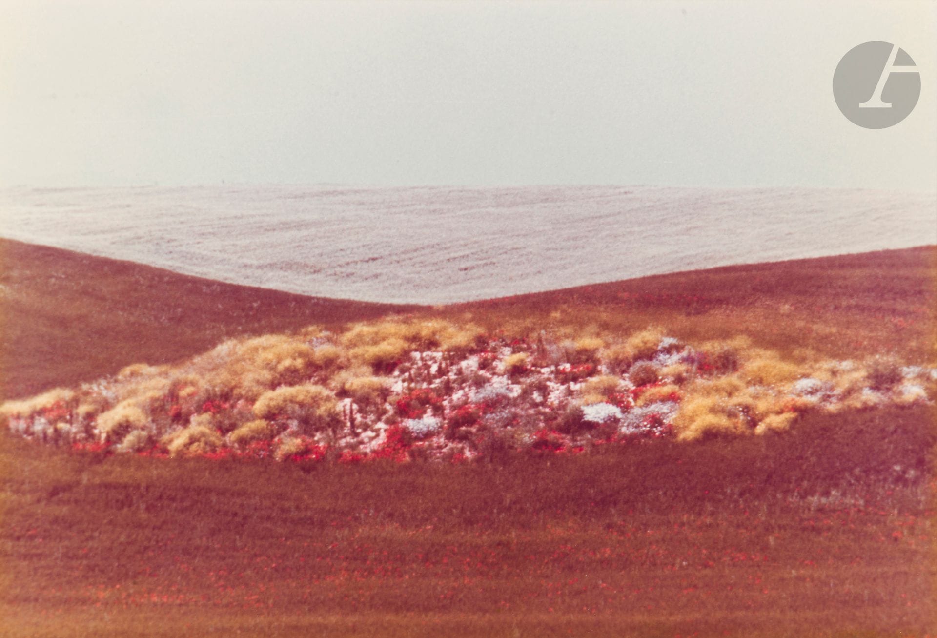 Franco Fontana (1933)
Puglia, 1975.
Épreuve chromogénique d'époque sur papier Kodak, montée par le haut sur carton, signée et datée à l'encre sur le montage en bas à droite, signée et datée à l'encre au verso avec l'étiquette du photographe.
20,2 x 29,7 cm