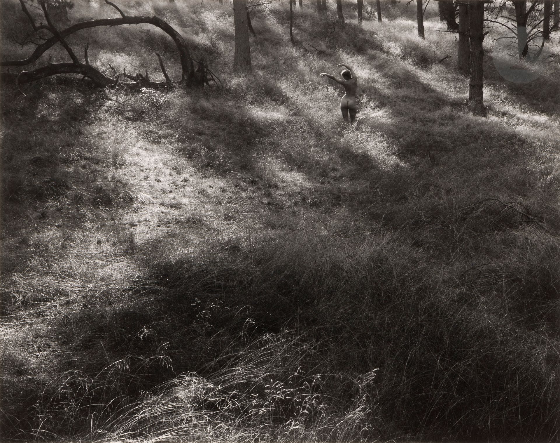 Rutger Ten Broeke (1944)
Hoge Veluwe, 1985.
Épreuve argentique d'époque, contrecollée sur carton, signée, titrée, datée et numérotée à 15 exemplaires au crayon sur le montage en bas. Annotations de Lucien Clergue à l'encre au verso du support.
25,5 x 33 cm