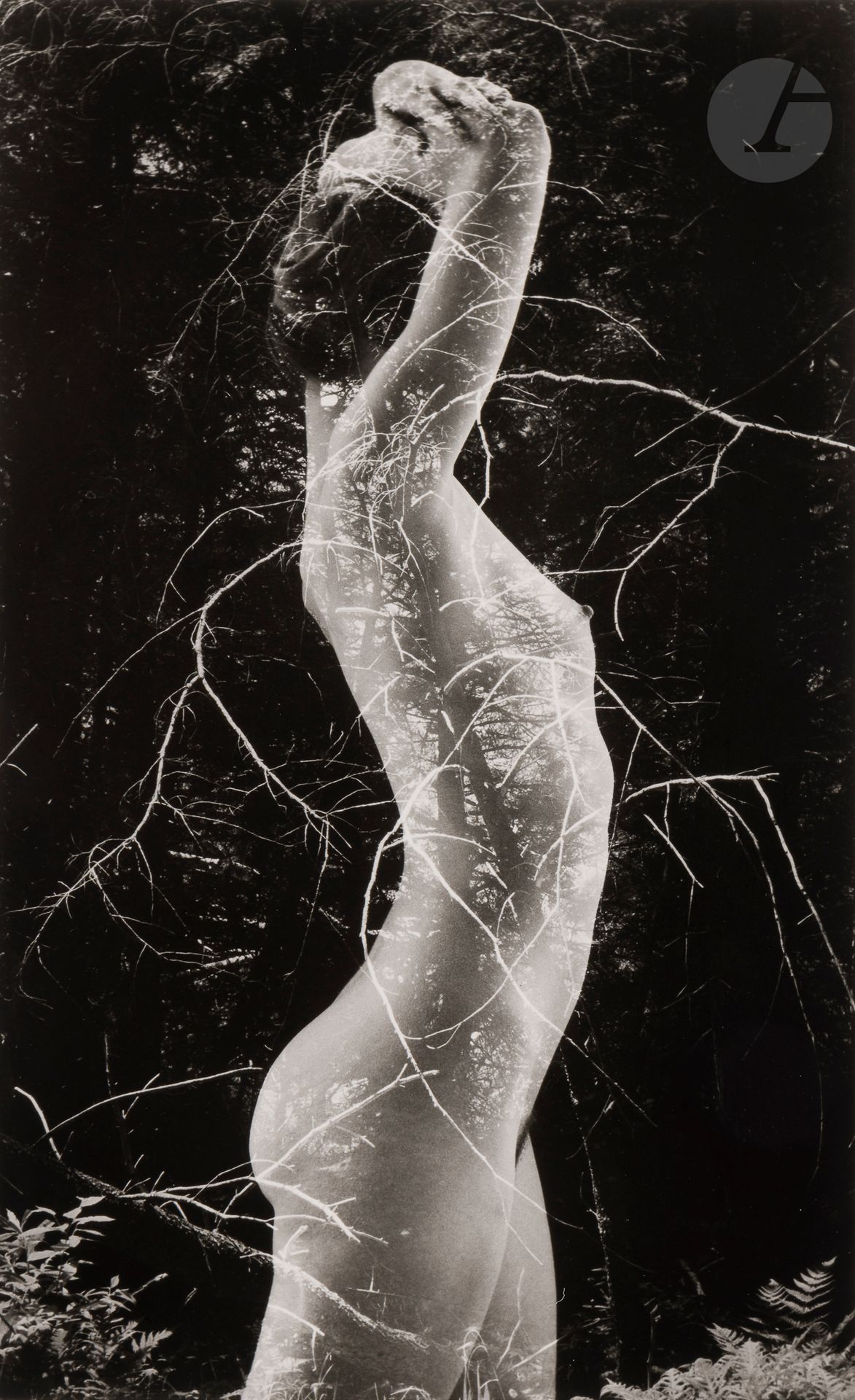 Ruth Bernhard (1905-2006) 
Symbiosis, 1970. 
Silver print (c. 1990), mounted on card, signed in pencil lower right, signed, titled and dated in pencil on reverse. 
34.3 x 21.2 cm