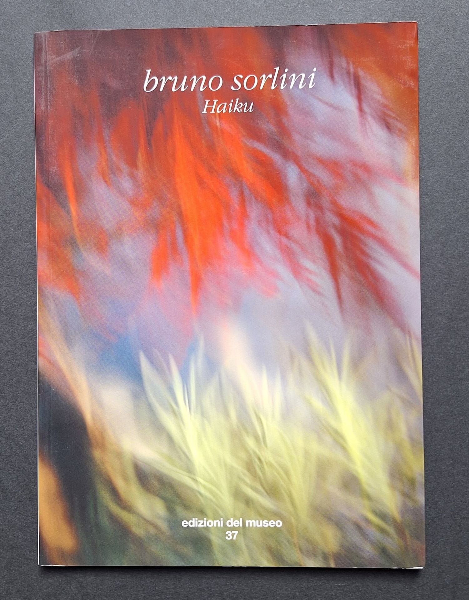 SORLINI, BRUNO [Dédicacé à Lucien Clergue]
Haiku.
Edizioni del museo Ken Damy, 1999.
In-8 (23 x 16 cm). Édition originale, dédicacée par Bruno Sorlini à Lucien Clergue en page de garde. 40 pp. Texte en français, anglais et italien de Roberto Mutti. Couverture souple illustrée.