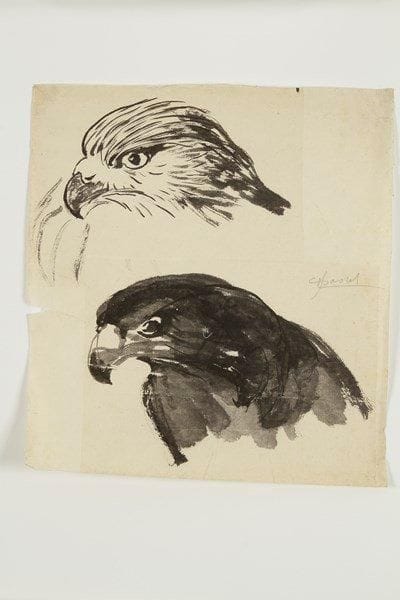 Jules CHADEL (1870-1941)
Deux têtes d?aigle et faucon. Lavis d?encre de chine sur japon pelure (morceaux découpés collés par l?artiste sur japon mince) [278 x 305], signé à la mine de plomb dans le sujet à droite. Petit manque au bord gauche du feuillet
