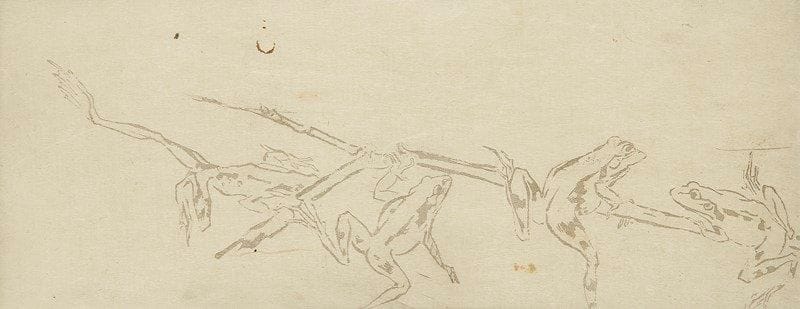 Marie Gautier (1867 ou 1870- ?)
Quatre grenouilles sur une tige de bambou. Vers 1895-1900. Aquatinte. 250 x 100. Bonne épreuve sur japon mince, fixée sous passe-partout par deux morceaux d?adhésif au verso. Petites traces de rouille et nombreux courts plis cassés épars. Petites marges