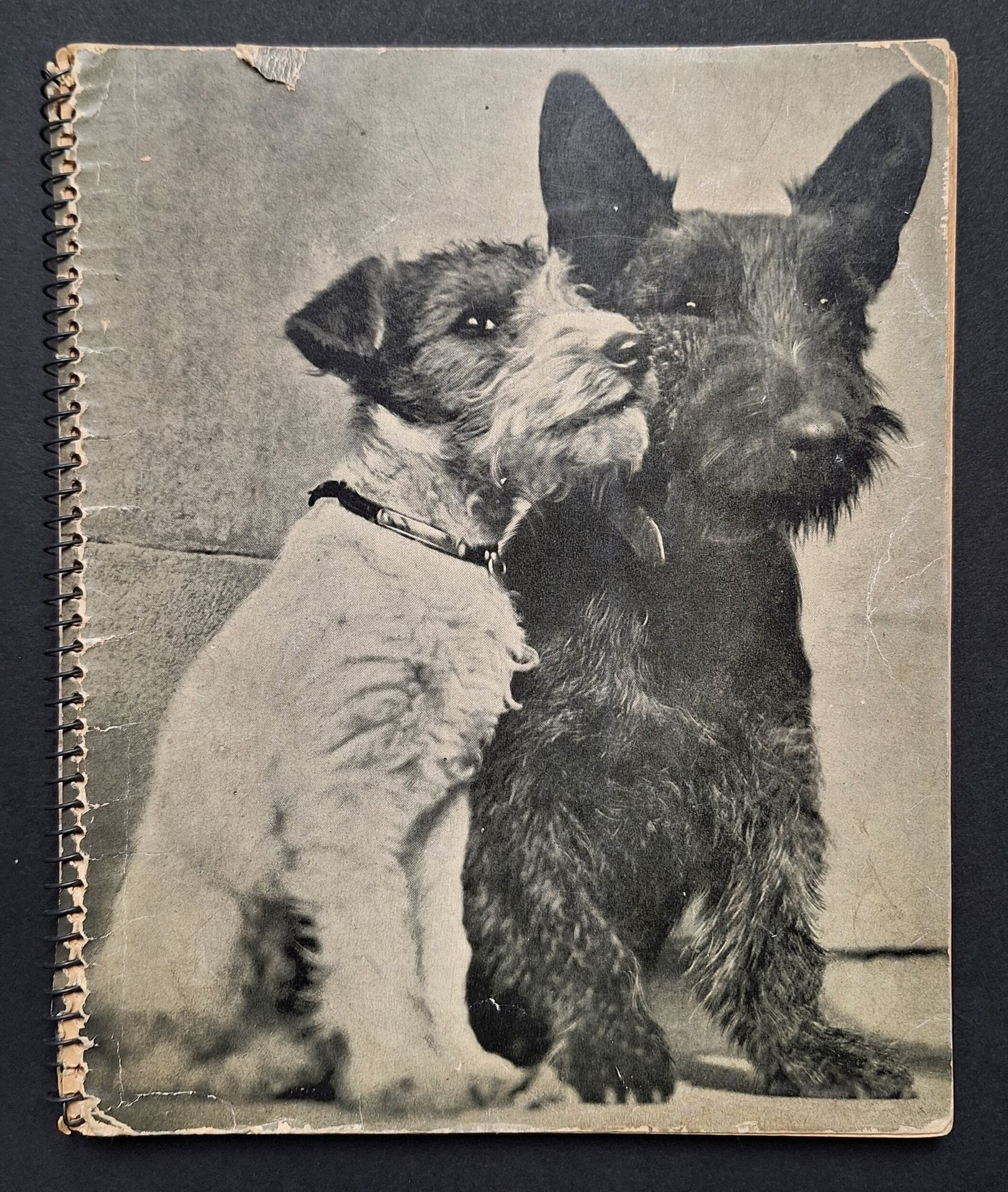 YLLA (Camilla Koffler, dit) (1911-1955)
Chiens par Ylla
présentés par Jules Supervielle.
Éditions O.E.T., s.d.
(20,5 x 17 cm). Édition originale. 5 pages de texte par Supervielle, suivies de 16 planches photographiques reproduites en héliogravure. Reliure spirale d'éditeur (un très léger accroc dans le haut du 1er plat).