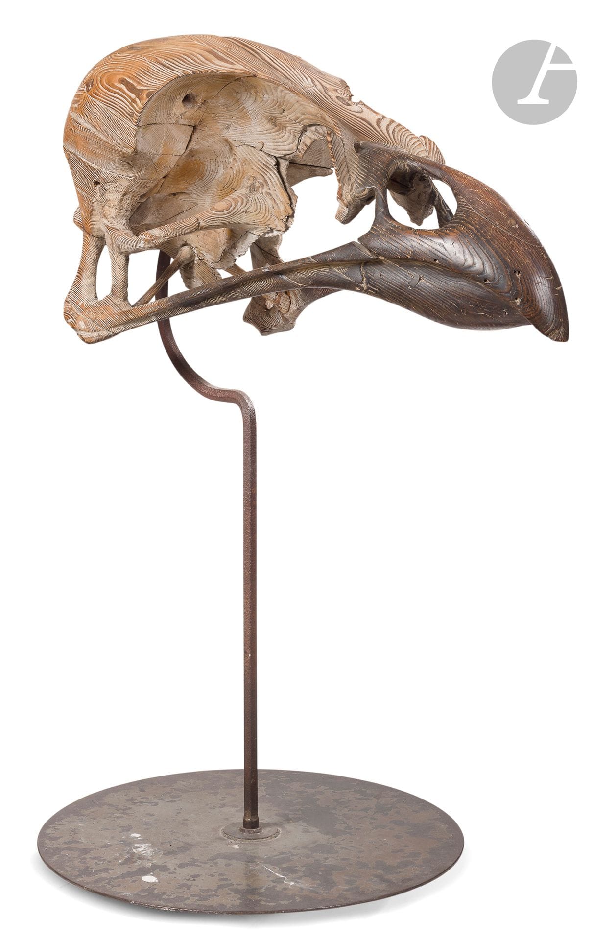 Quentin GAREL (né en 1957)
Crâne d'oiseau
Bois sculpté patiné.
60 x 125 x 60 cm
Socle en métal d'origine (hauteur totale : 150 cm

Provenance : 
Galerie LJ, Paris.