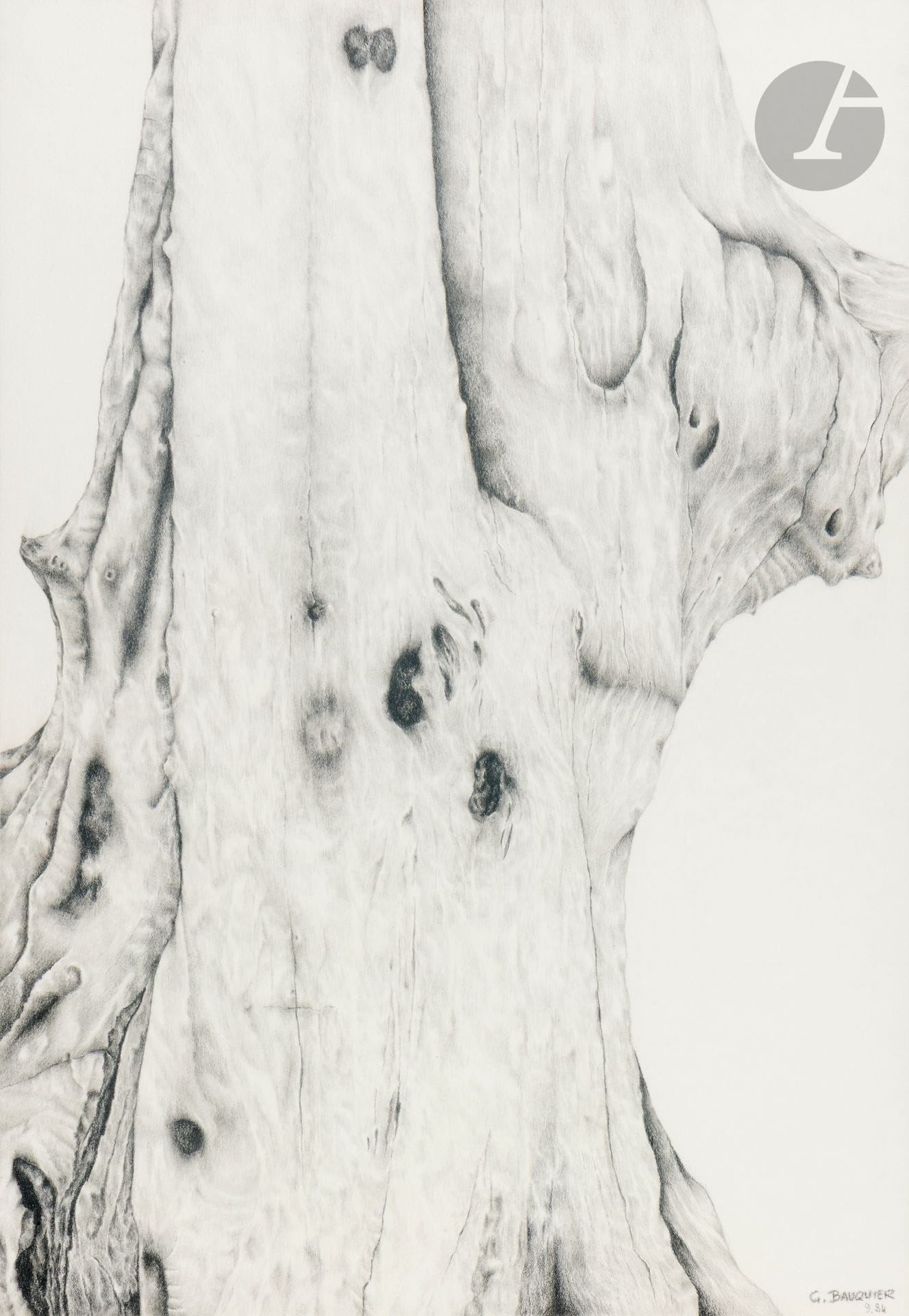 Georges BAUQUIER (1910-1997)
Racines N° XIII et N° XXI, 1984
2 fusains sur papier.
Signés et l’un daté.
60 x 40 cm chaque