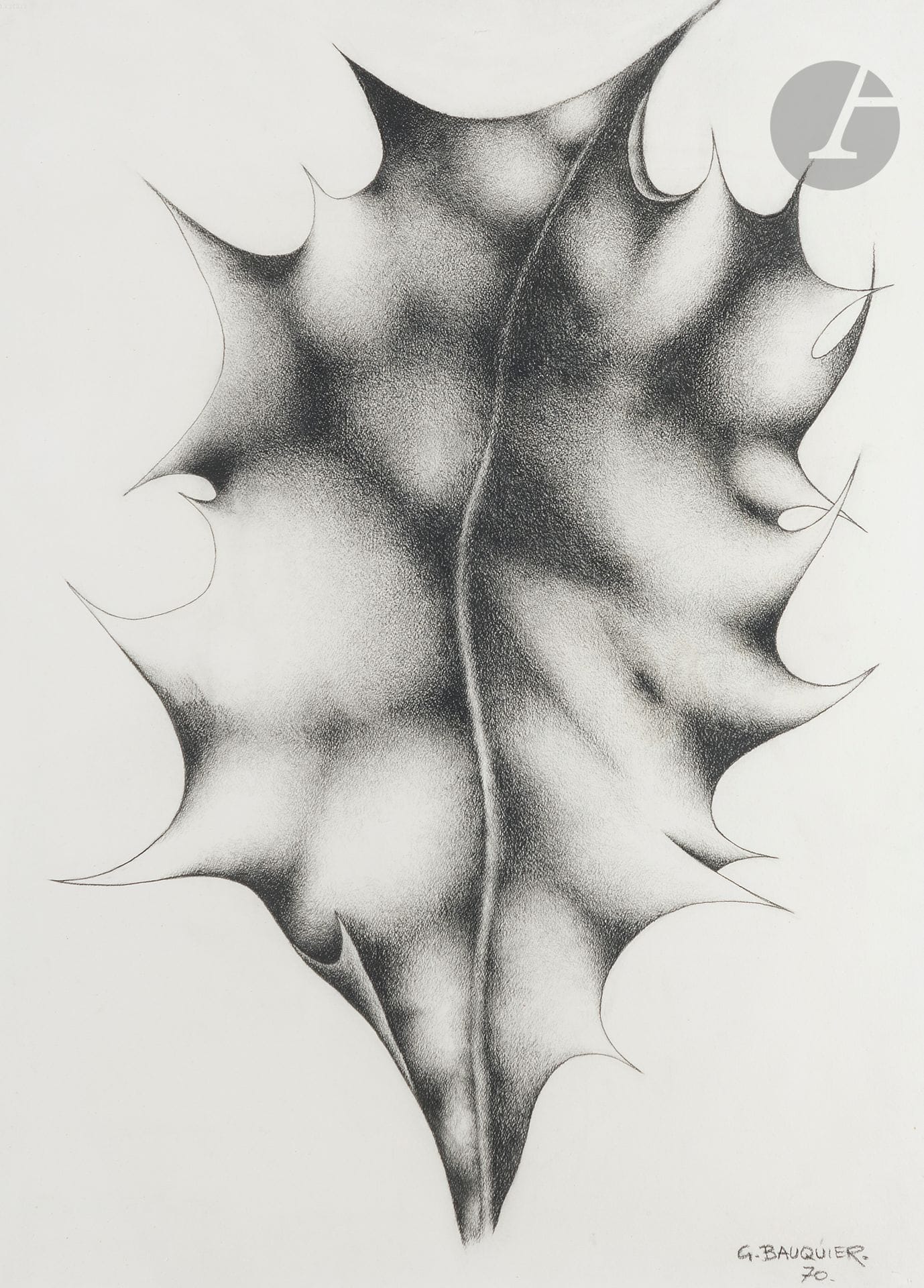 Georges BAUQUIER (1910-1997)
Feuille de houx, 1970
Fusain sur papier.
Signé et daté en bas à droite.
56,5 x 75 cm