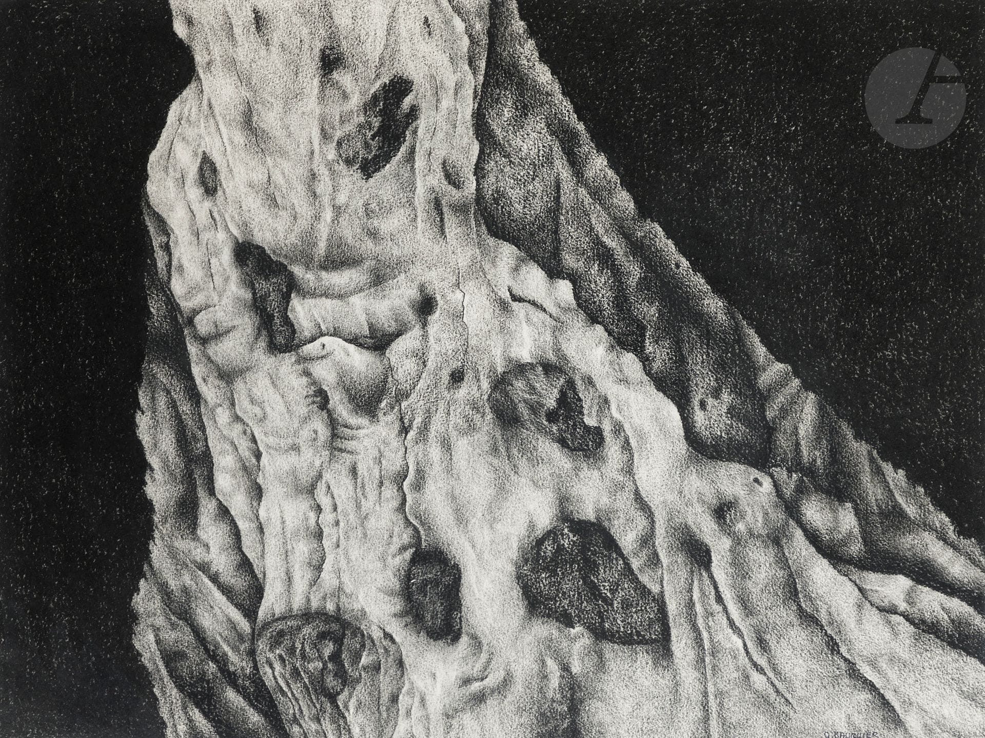 Georges BAUQUIER (1910-1997)
Racines N° 20, circa 1972
Charcoal on paper.
Unsigned.
45 x 60 cm