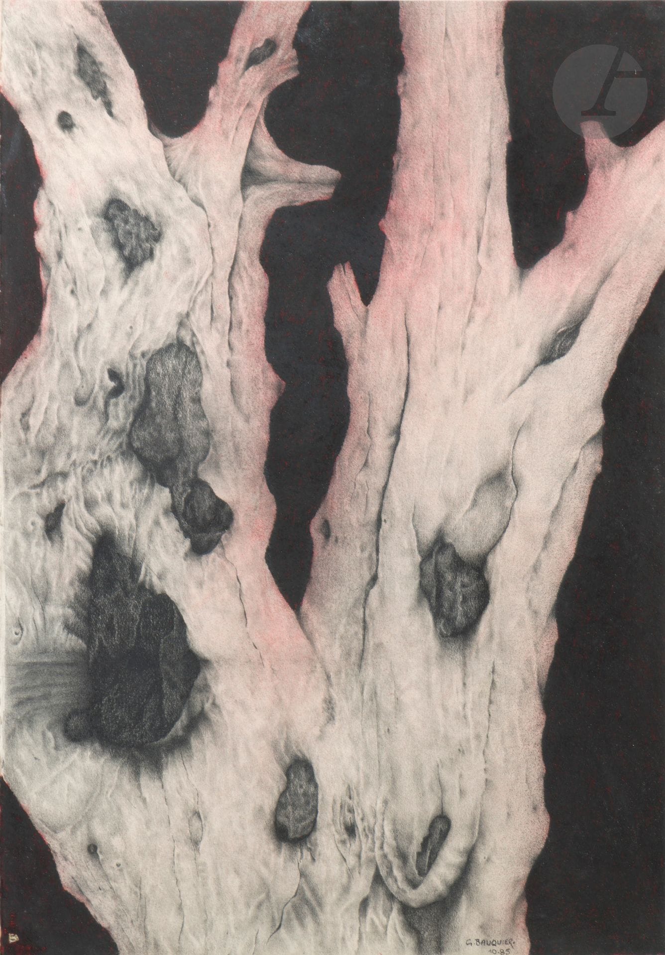 Georges BAUQUIER (1910-1997)
Racine N° 9, 1985
Charcoal and grease pencil on paper.
Signed and dated lower right.
71.5 x 49.5 cm