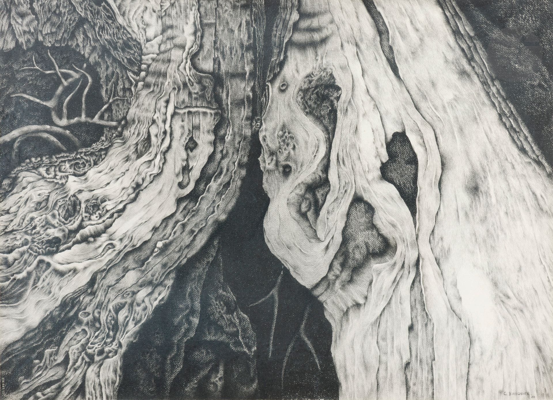 Georges BAUQUIER (1910-1997)
Racine, Study N° 3, 1970
Charcoal on paper.
Signed and dated lower right.
74 x 55 cm
