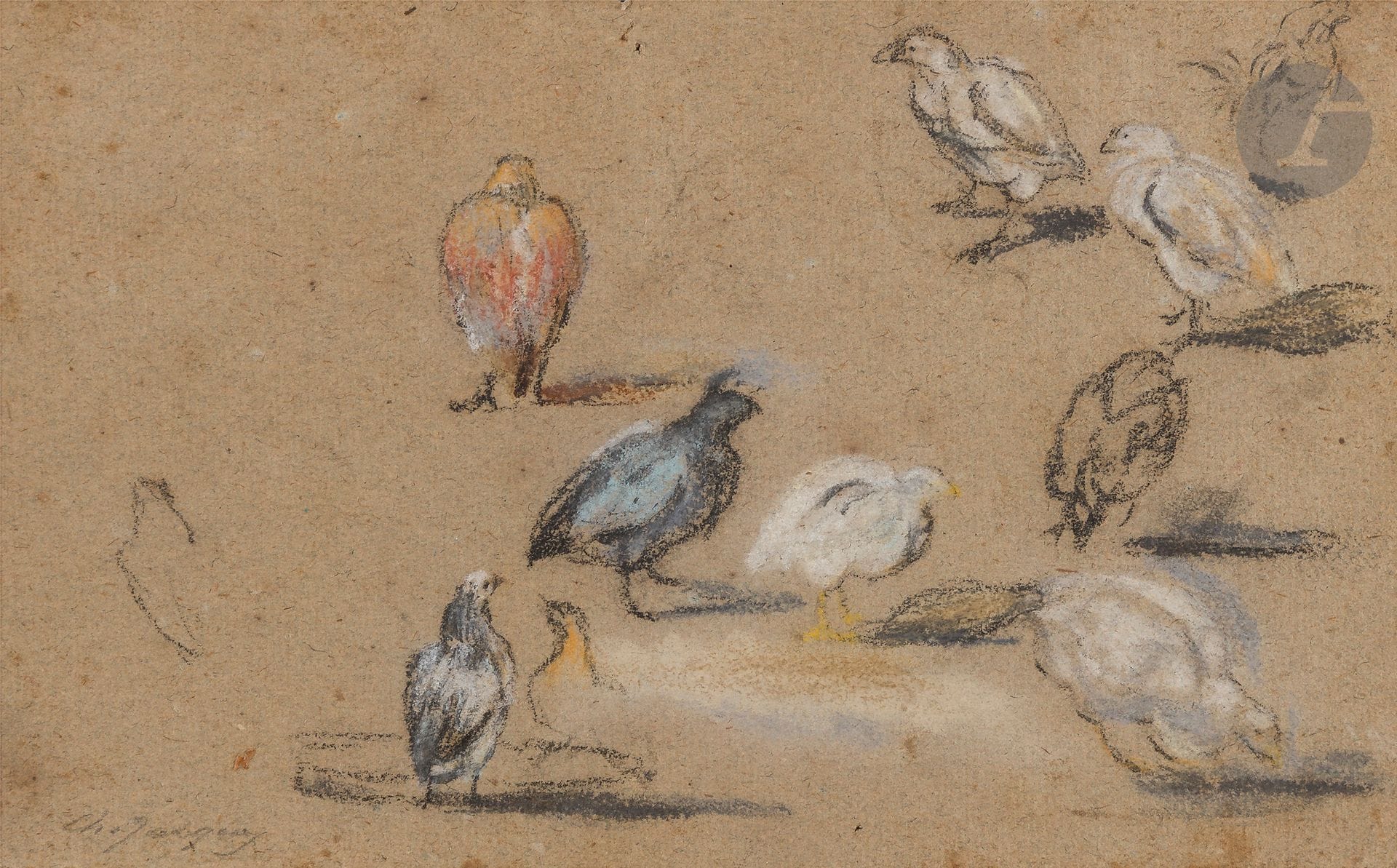 Entourage d'Alexandre-François DESPORTES (Champigneulle 1661 - Paris 1743)
Études de poules
Pierre noire et pastel.
Fausse signature Charles- Emile Jacque en bas à gauche.
13,5 x 21 cm