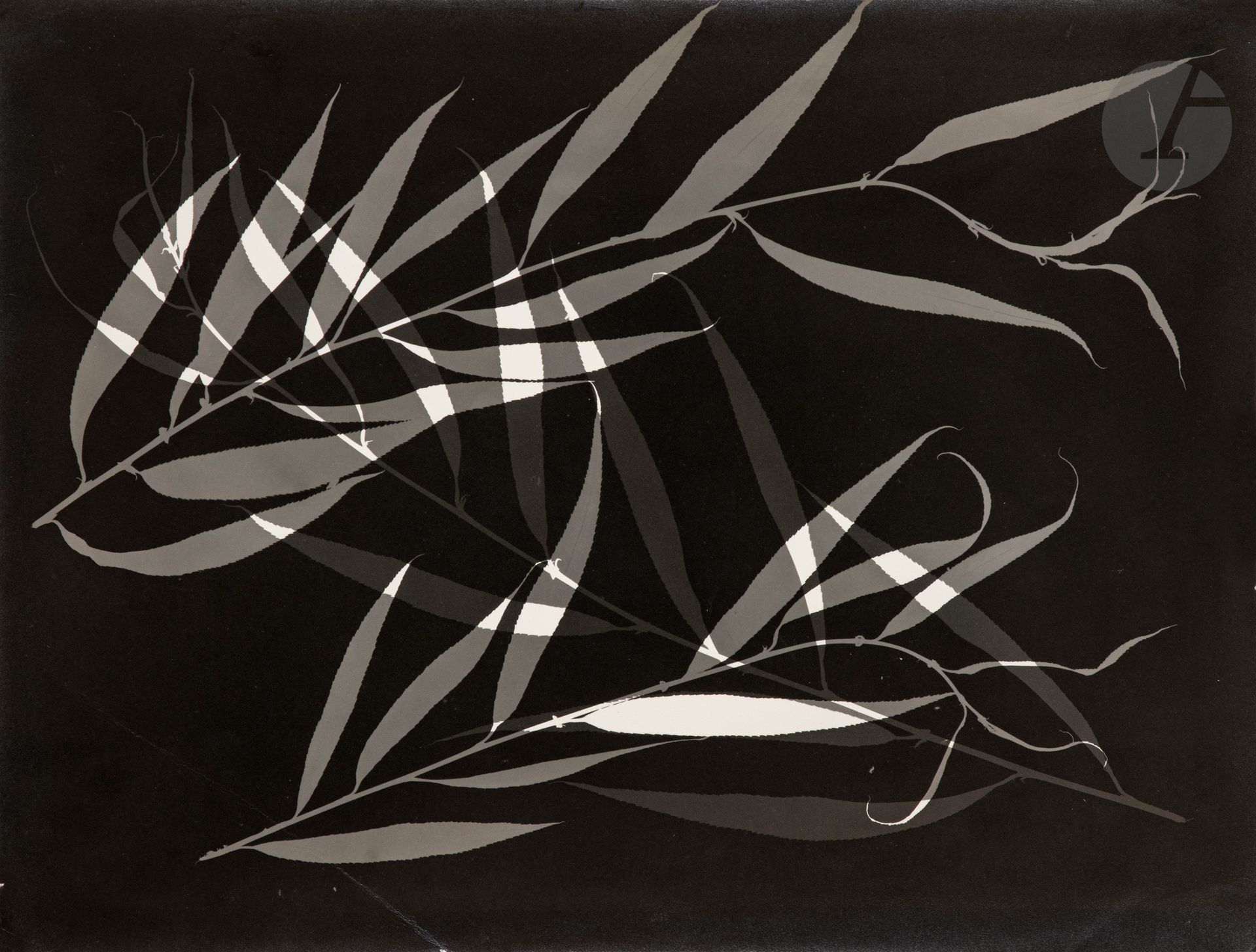 Eduardo Salvatore (1914-2006) 
Fotograma #1, c. 1950. 
Épreuve argentique d’époque. Tampon du « Foto-Cine Clube Bandeirante » avec crédit du photographe et titre à l’encre au verso. 
30 x 39 cm