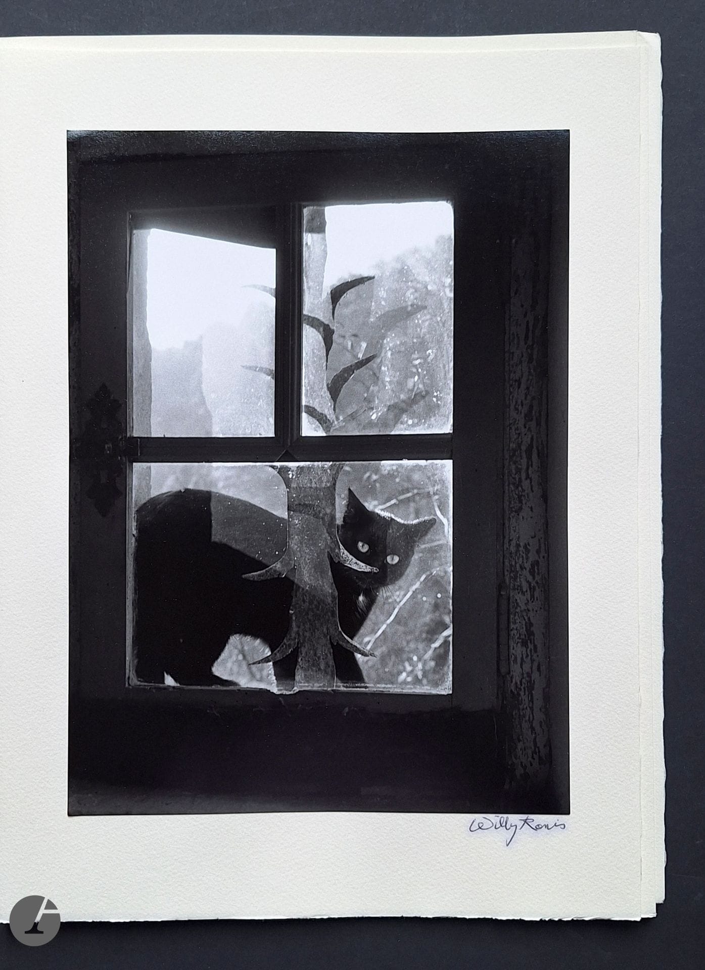 RONIS, WILLY (1910-2009) [Signed]
FARGUE, LÉON-PAUL (1876-1947)
La chanson du chat.
Éditions Fata Morgana, 1994.
Portfolio with a text by Léon-Paul Fargue and five silver prints by Willy Ronis (30 x 21.5 cm), signed in graphite on their mount. Edition of 30 on Arches paper. Publisher's hard cover and slipcase.