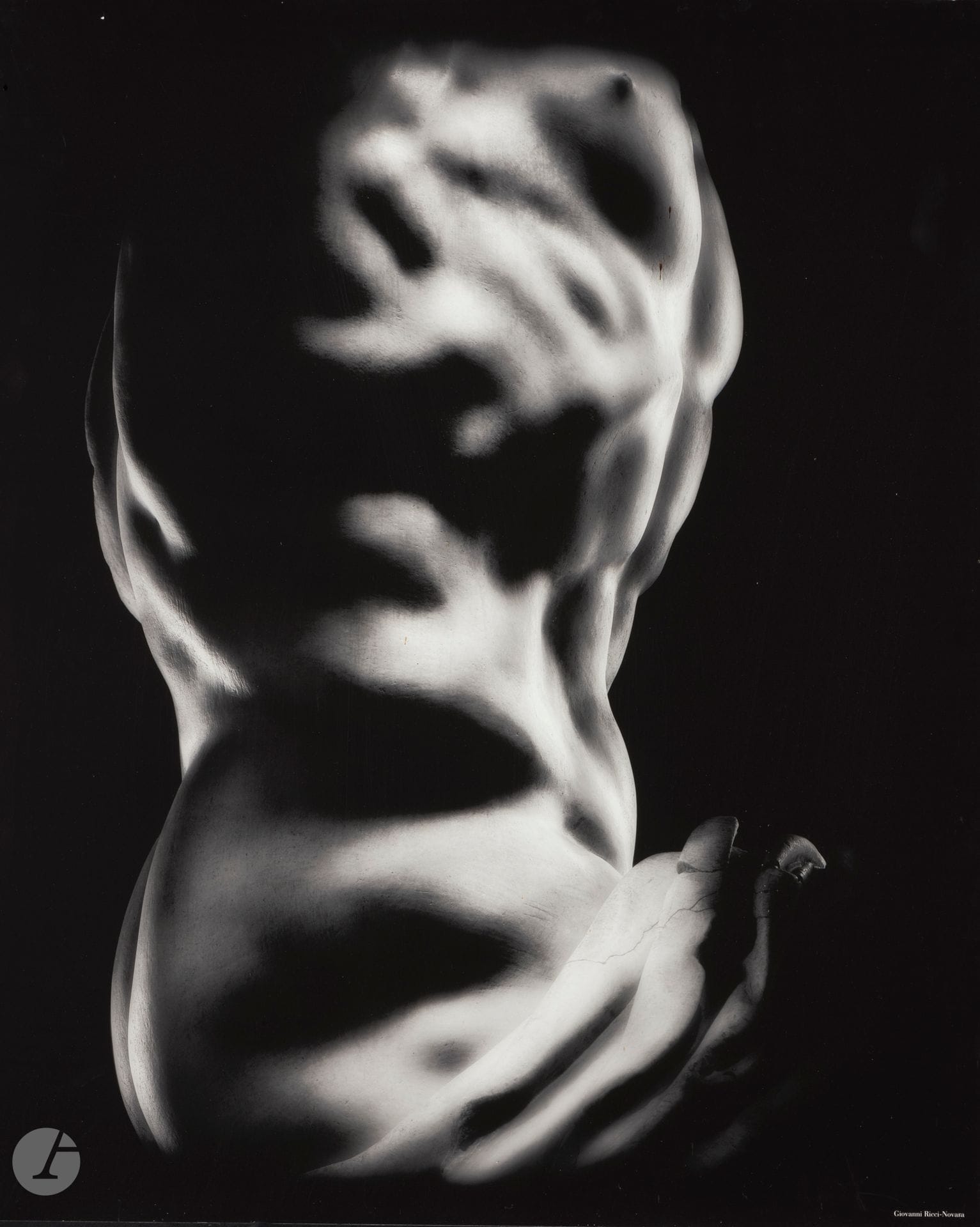 Giovanni RICCI-NOVARA (XX-XXIe)
Le Laocoon
Tirage sur plaque d’aluminium.
75 x 90 cm