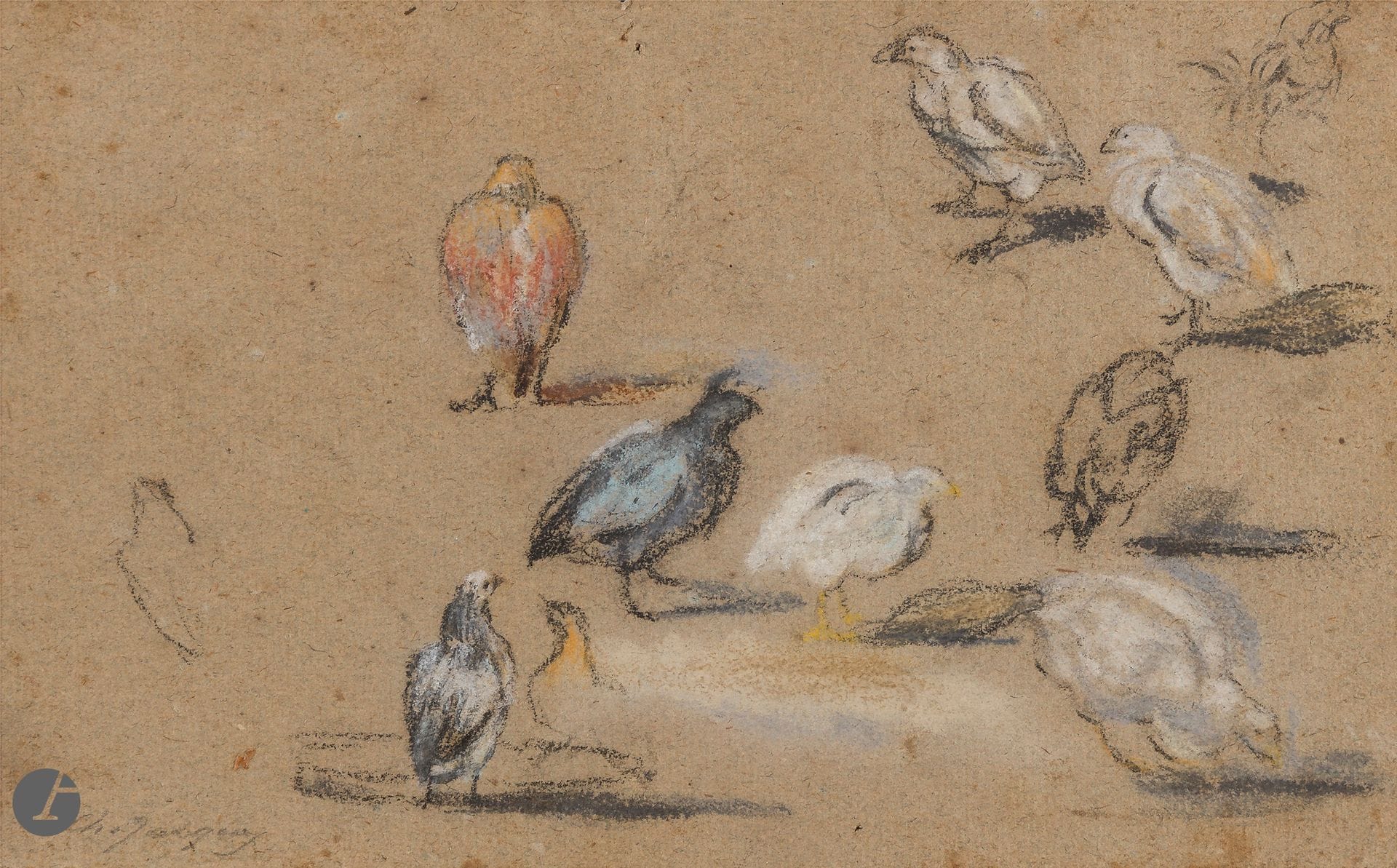 Entourage d’Alexandre-François DESPORTES (Champigneulle 1661 - Paris 1743)
Études de poules
Pierre noire et pastel.
Fausse signature «Charles- Emile Jacque» en bas à gauche. 
13,5 x 21 cm