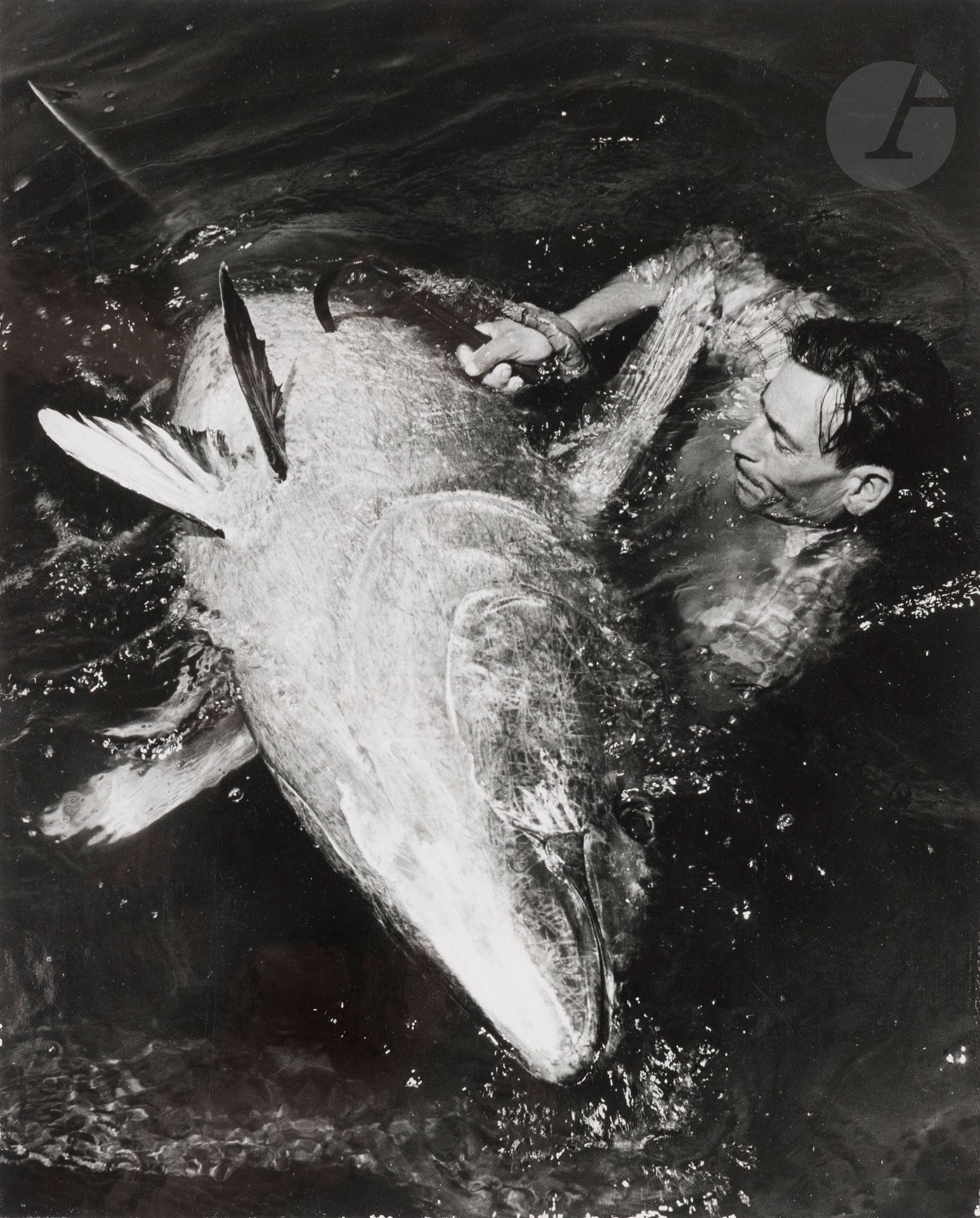Jean Dieuzaide (1921-2003)
Le Thon en cœur. Portugal, 1954. 
Épreuve argentique d’époque, contrecollée sur carton. Tampon « Reportage photographique Yan », tampon de la série « Portugal » et titre à l’encre au verso du montage.
29 x 23,8 cm