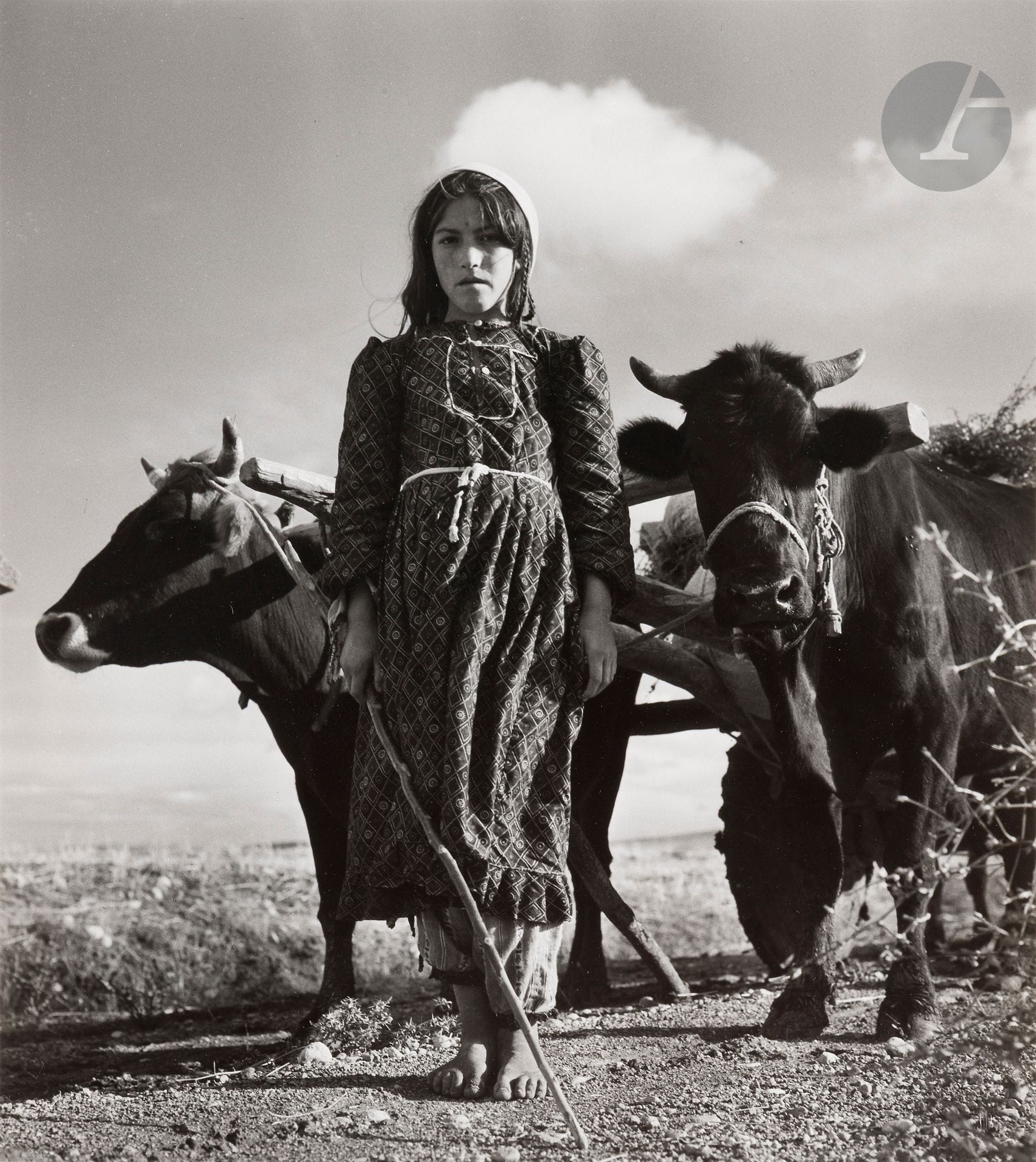 Jean Dieuzaide (1921-2003)
L’attelage. Vallée de Göreme, Turquie, 1955. 
Épreuve argentique (tirée par Jean Dieuzaide en 1990). Timbre sec du photographe en bas à droite. Tampon « Photographié par Jean Dieuzaide », tampon de la série « Turquie » (N° 1317), titre et dates à l’encre au verso. 
Image : 34,7 x 27,5 cm
Feuille : 40,5 x 30,5 cm