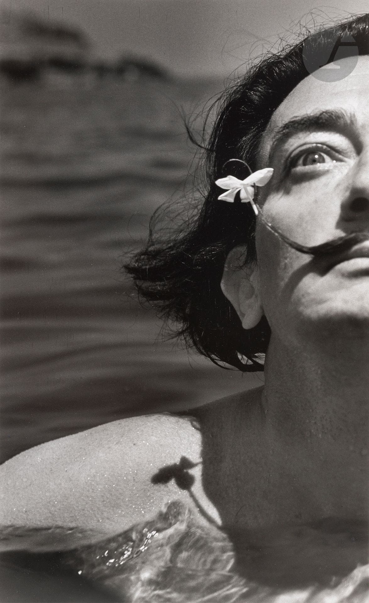 Jean Dieuzaide (1921-2003)
Salvador Dalí. Portlligat, Cadaquès, 1953.
Épreuve argentique (tirée par Jean Dieuzaide en 2002). Timbre sec du photographe en bas à droite. Tampon « Photographié par Jean Dieuzaide », tampon de la série « Reportages » (N° 7699), titre et date à l’encre au verso. 
Image : 37,3 x 22,5 cm - Feuille : 40,5 x 30,5 cm