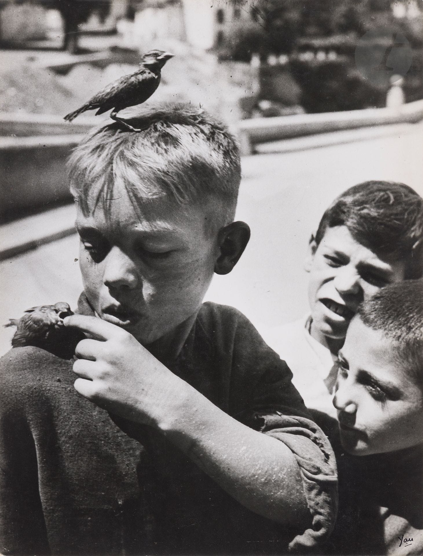 Jean Dieuzaide (1921-2003)
Les garçons et l’oiseau. Espagne, 1951. 
Épreuve argentique d’époque, contrecollée sur carton et signée à l’encre en bas à droite. Tampons « Photo Reportage Yan » et « J. Dieuzaide », annotations et date au crayon au verso du montage. 
38,8 x 29 cm