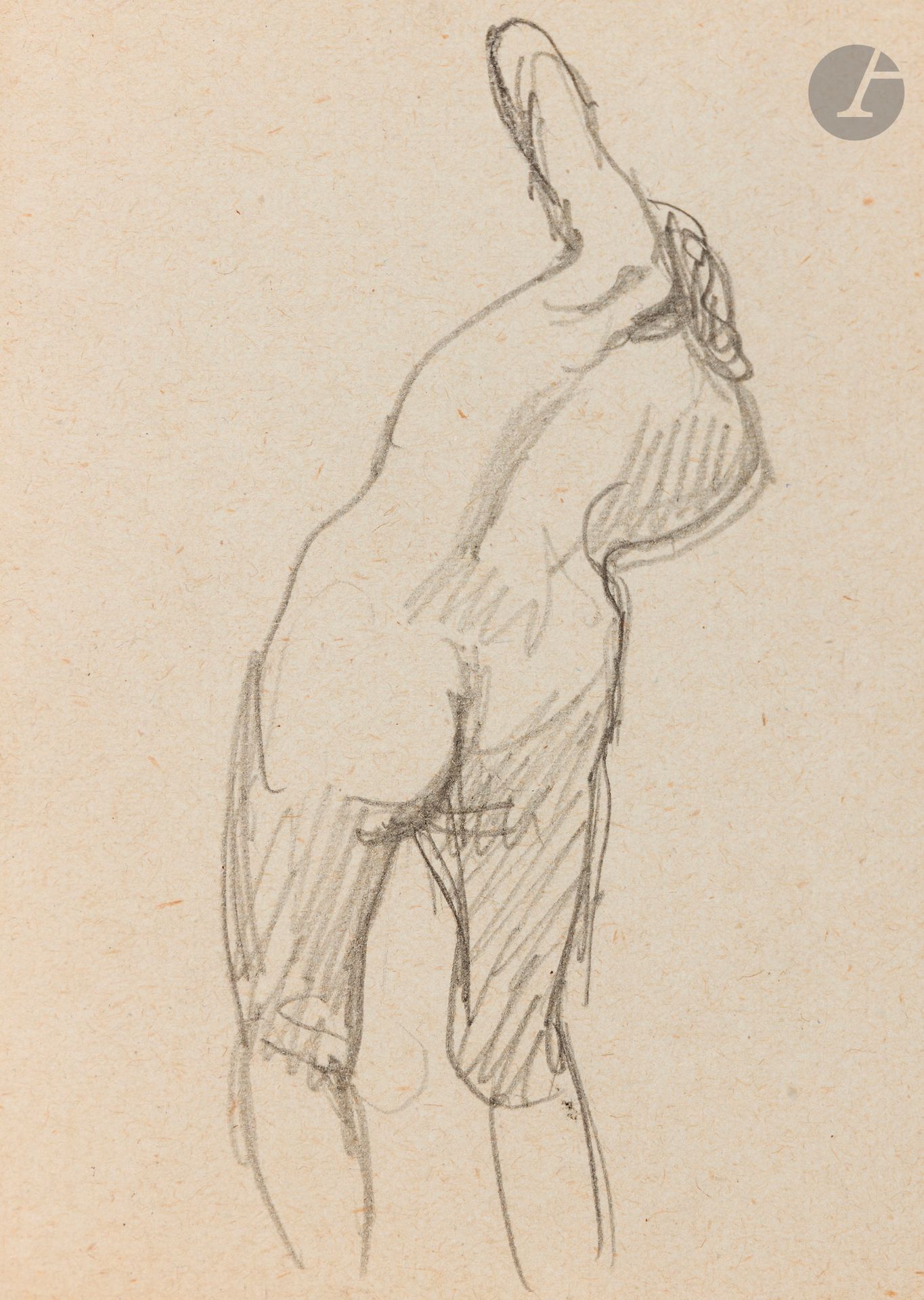 Félix VALLOTTON (1865 - 1925)
Femme nue de dos - Femme nue accroupie
Deux mines de plomb sur page de carnet.
Non signées.
8,5 x 6,5 cm chaque

Provenance:
- Gabrielle Vallotton, née Bernheim, épouse de Félix Vallotton.
- Madeleine Lecomte du Noüy, née Rodrigues-Henriques, fille de Gabrielle Vallotton et belle-fille de Félix Vallotton. Par descendance.
- Isabelle Lecasble, née Lecomte du Noüy, fille de Madeleine Lecomte du Noüy (son cachet au dos). Par descendance.

Nous remercions Madame Katia Poletti, conservatrice de la Fondation Félix Vallotton pour les informations qu’elle nous a transmises.


Les dessins que nous présentons proviennent de la collection d’Isabelle Lecomte du Noüy et ont été hérités de sa grand-mère, Gabrielle Bernheim. Celle-ci avait épousé en secondes noces le peintre Félix Vallotton, figure majeure du groupe des Nabis et proche d’Édouard Vuillard. 

L’ensemble comprend de nombreuses études de nus, ainsi que plusieurs feuilles préparatoires d’œuvres peintes. Parmi celles-ci figurent notamment une étude pour Femme nue de dos blonde (1907), une étude pour Femme assise de dos (1915) conservé au Kunstmuseum de Luzern, ainsi qu’une étude en relation avec le tableau Vue d’Avignon (1920). Ces feuilles révèlent le processus créatif de Vallotton : l’artiste y explore les attitudes des figures, met en place la composition et l’équilibre des formes, tout en inscrivant directement sur le papier des annotations de couleurs destinées à guider l’élaboration de la peinture.

Cet ensemble, demeuré au sein d’une famille étroitement liée au nabisme et à ses représentants, apparaît aujourd’hui comme un témoignage particulièrement précieux. Afin d’en matérialiser la provenance, un cachet de collection aux initiales d’Isabelle Lecomte du Noüy a été apposé au verso de chacun des dessins.