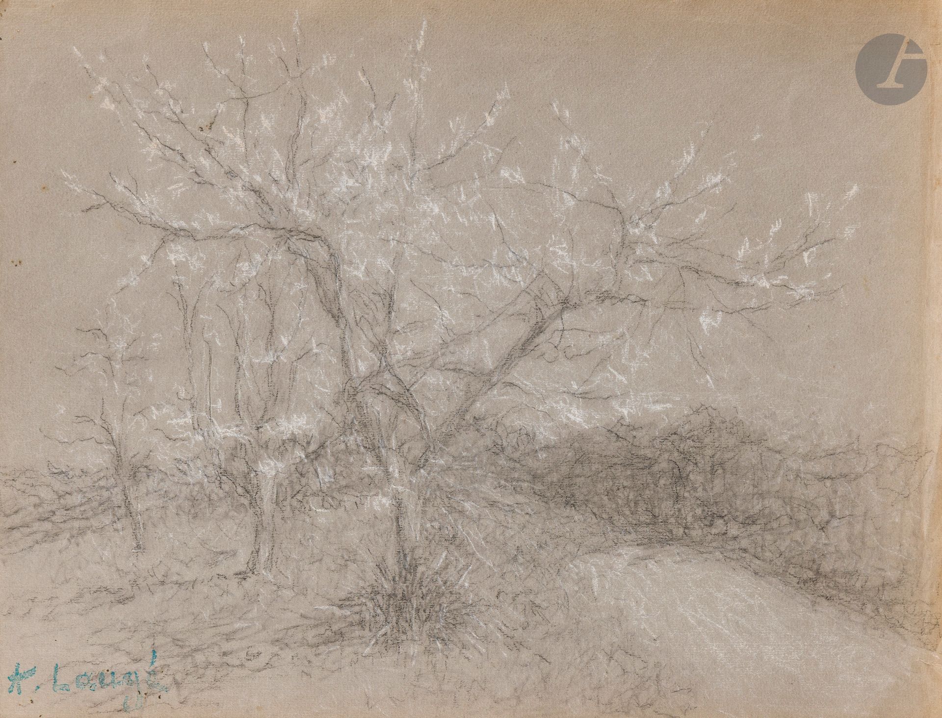 Achille LAUGÉ (1861 - 1944)
Trees
Charcoal, white chalk and stump.
Signature stamp lower left.
(Creases and small marginal tears).
25 x 32.5 cm