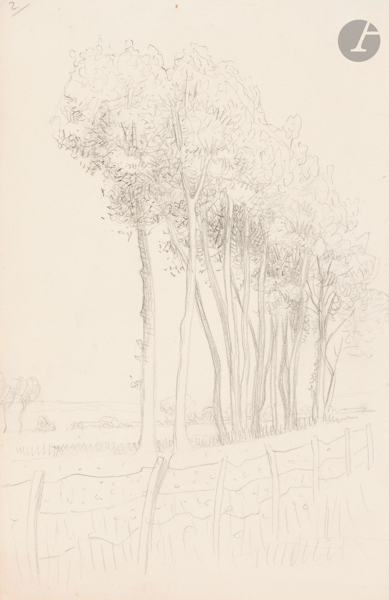 Félix VALLOTTON (1865 - 1925)
Study for Family of Trees, 1922
Black pencil.
Unsigned.
23.7 x 15.2 cm

Provenance
- Gabrielle Vallotton, née Bernheim, wife of Félix Vallotton.
- Madeleine Lecomte du Noüy, née Rodrigues-Henriques, daughter of Gabrielle Vallotton and daughter-in-law of Félix Vallotton. By descent.
- Isabelle Lecasble, née Lecomte du Noüy, daughter of Madeleine Lecomte du Noüy (her stamp on the back). By descent.

Exhibition: 
Félix Vallotton : Zeichnungen, Solothurn, Kunstmuseum Winterthur, May 12 - August 12, 2012, n°128.

Related work:
Famille d'arbres, 1922, reproduced in Marina Ducrey, with the collaboration of Katia Poletti, Félix Vallotton (1865-1925), L'oeuvre peint, Volume III, Lausanne, Fondation Félix Vallotton, Lausanne/Zurich, Institut suisse pour l'étude de l'art (Catalogues raisonnés d'artistes suisses 22), Milan, 5 Continents, Éditions, 2005, n°1477, p. 782. 

We would like to thank Ms. Katia Poletti, curator of the Fondation Félix Vallotton, for the information she provided.

The drawings we are presenting come from the collection of Isabelle Lecomte du Noüy and were inherited from her grandmother, Gabrielle Bernheim. Her grandmother, Gabrielle Bernheim, had married the painter Félix Vallotton, a major figure in the Nabis group and a close associate of Édouard Vuillard. 

The set includes numerous nude studies, as well as several preparatory sheets for painted works. These include a study for Femme nue de dos blonde (1907), a study for Femme assise de dos (1915) in the Kunstmuseum Luzern, and a study for the painting Vue d'Avignon (1920). These sheets reveal Vallotton's creative process: the artist explores the attitudes of the figures, sets up the composition and balance of forms, while inscribing color annotations directly on the paper to guide the elaboration of the painting.

This group of works, which remained in a family closely linked to Nabism and its representatives, is today a particularly precious testimony. To identify its provenance, a collection stamp bearing Isabelle Lecomte du Noüy's initials has been affixed to the reverse of each drawing.