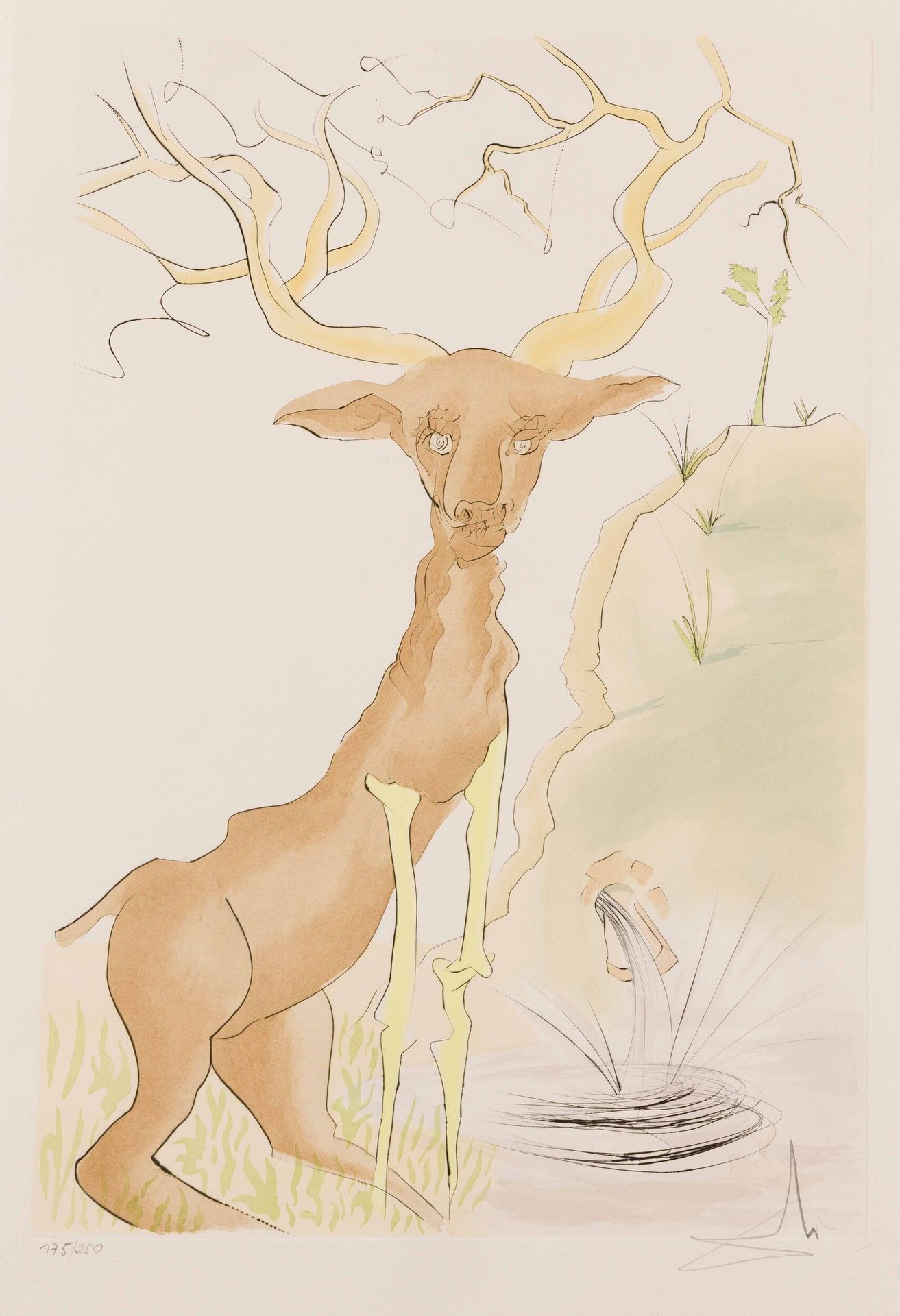 Salvador Dalí (1904-1989)
Le Cerf se voyant dans l’eau. (Pl. pour Le Bestiaire de La Fontaine dalinisé, Paris, R. Mouret, 1974). Pointe sèche et coloris au pochoir. 395x620mm. Michler et Löpsinger 660. Très belle épreuve sur vélin blanc, numérotée et revêtue d’une signature au crayon. Très claire trace d’oxydation autour du sujet. Forte oxydation au verso. Deux traces d’adhésif oxydées dans les angles supérieurs. Toutes marges. Tirage à 250 épreuves.