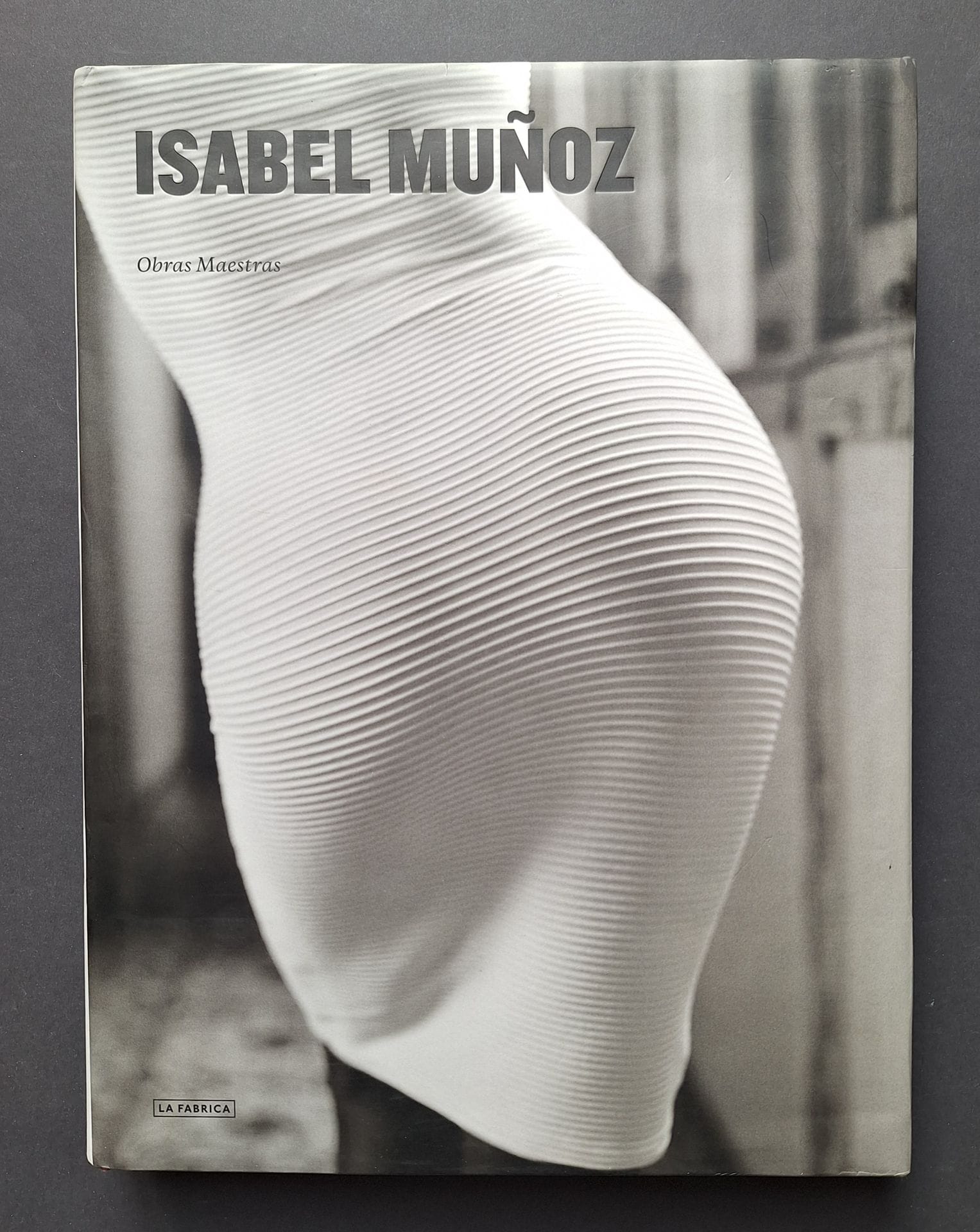 MUNOZ, ISABEL (1951)
Obras Maestras.
La Fabrica, 2010.
In-4 (33 x 25 cm). Édition originale. 384 pages. Reliure en tissu rouge avec titre en gris, sous jaquette illustrée.