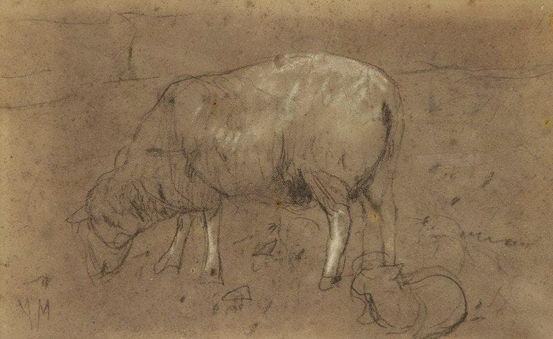 Anton MAUVE (1838-1888)
Brebis et son petit. Dessin au crayon noir et rehauts de pastel sur papier brun. Porte le cachet du monogramme en bas à gauche. (Oxydations et petites taches). 12,5 x 20 cm