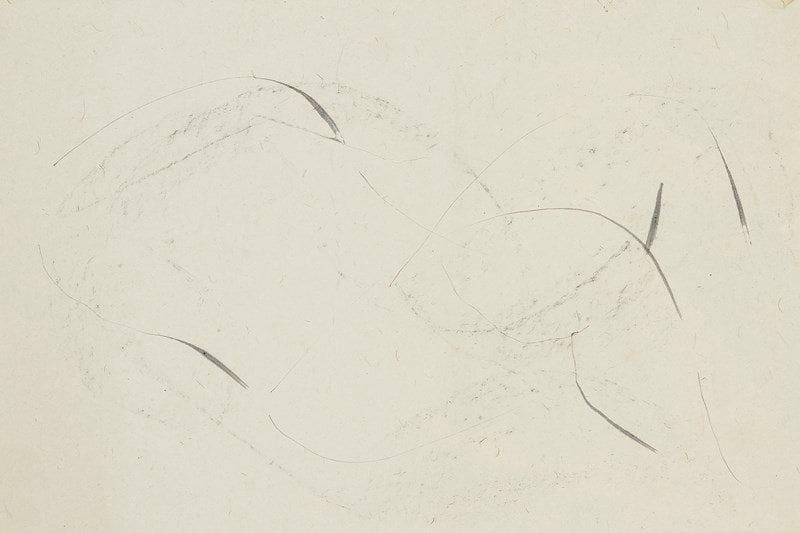 Jean FAUTRIER (1898-1964)
Nu couché. Encre et grattage sur papier. Porte au dos le tampon de la levée de scellé de l?atelier par le Tribunal d?Instance de Sceau le. 7 mars 1956. 20,5 x 30 cm